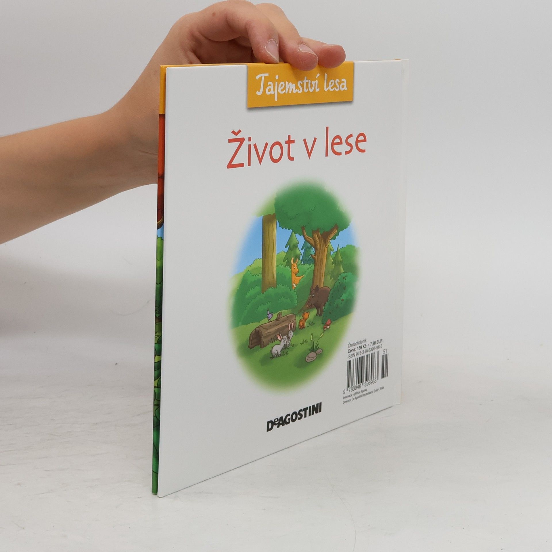 AA.VV. Tajemství lesa 9. Život v lese