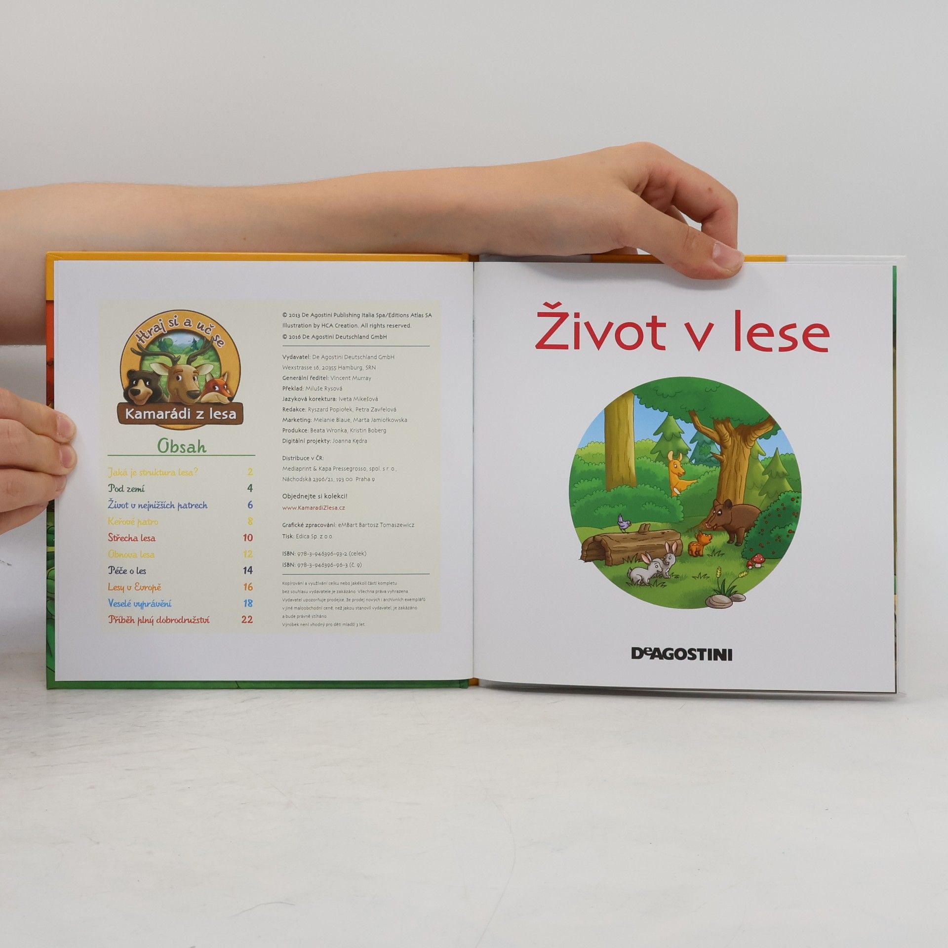 AA.VV. Tajemství lesa 9. Život v lese