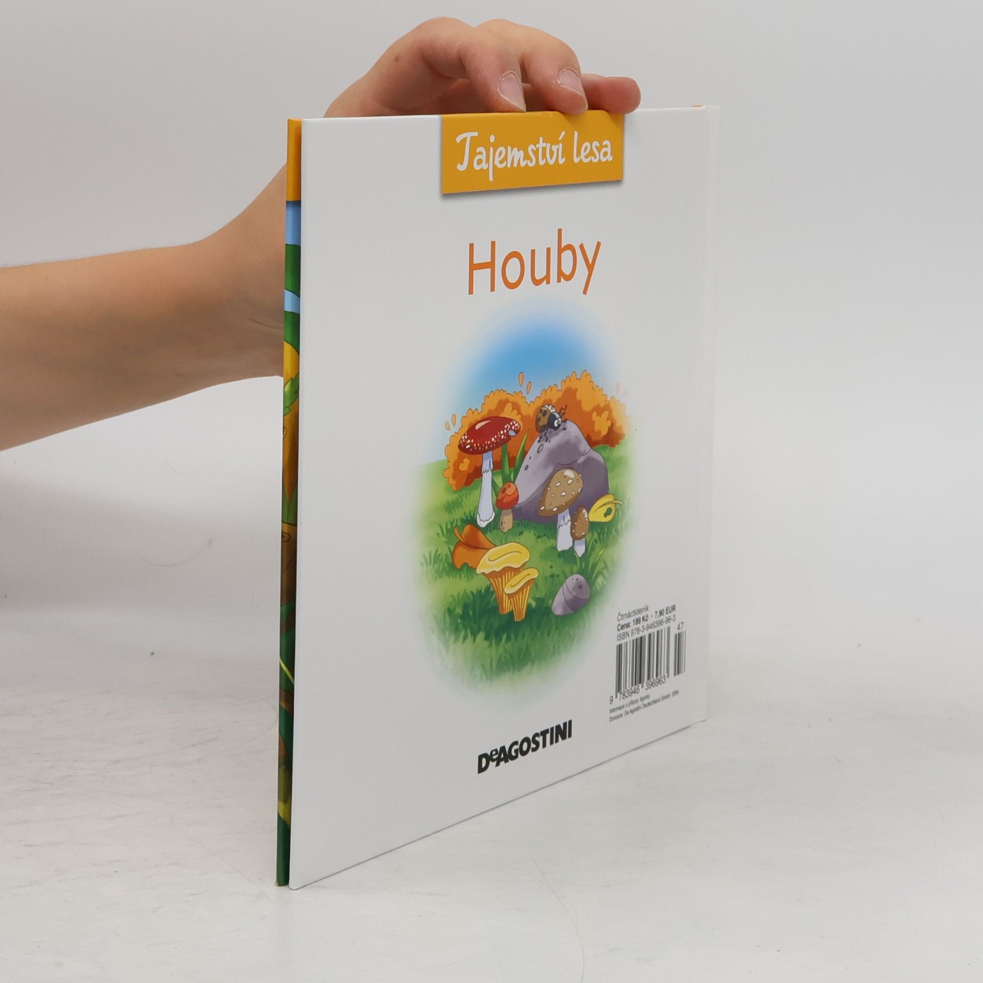 Autorenkollektiv Tajemství lesa 7. Houby