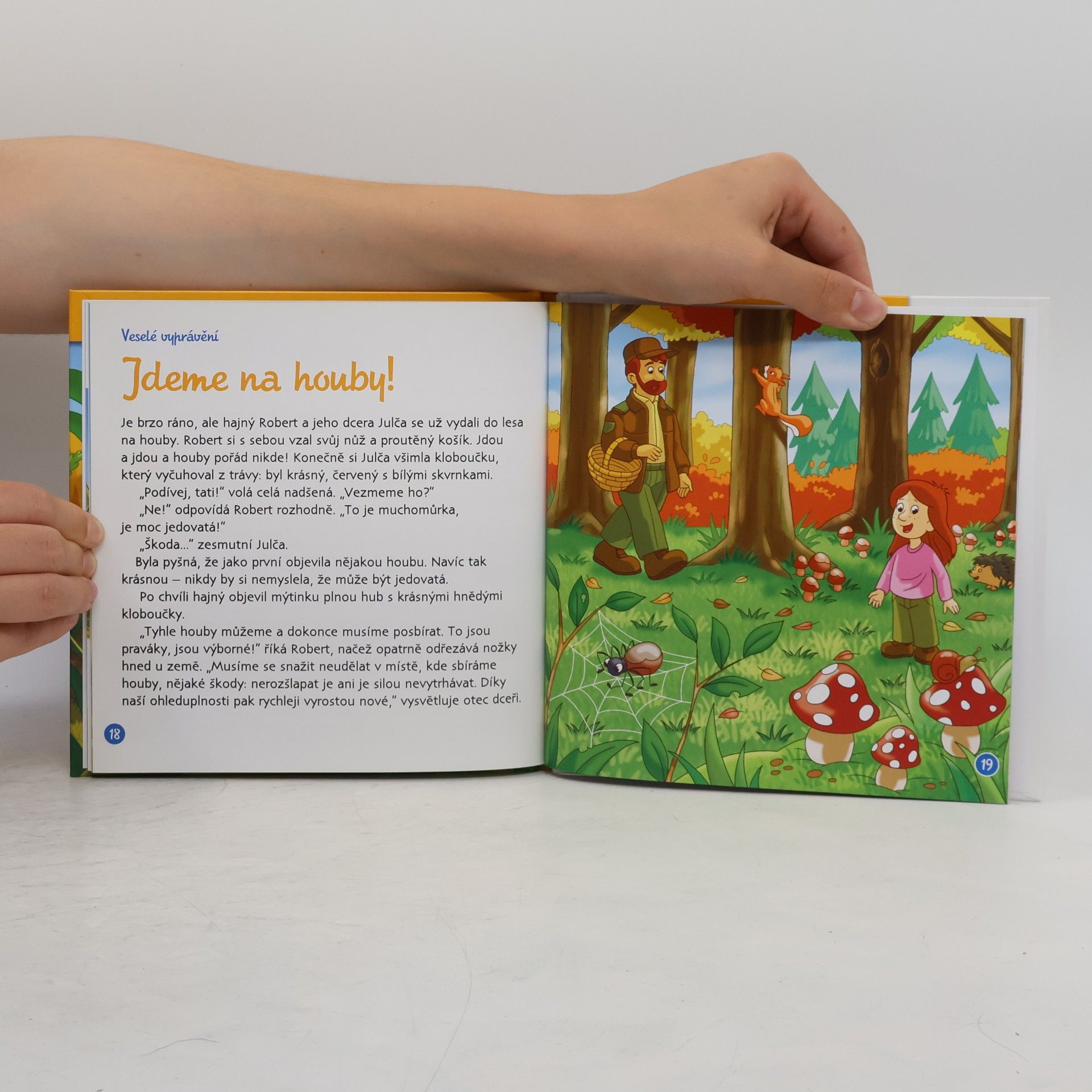 Autorenkollektiv Tajemství lesa 7. Houby