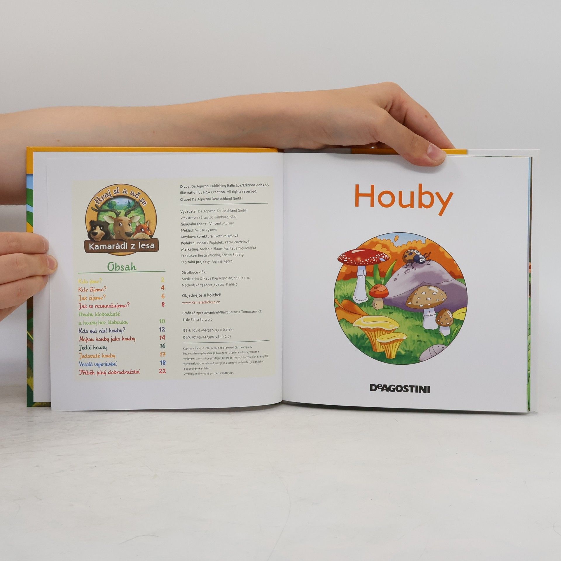 Autorenkollektiv Tajemství lesa 7. Houby