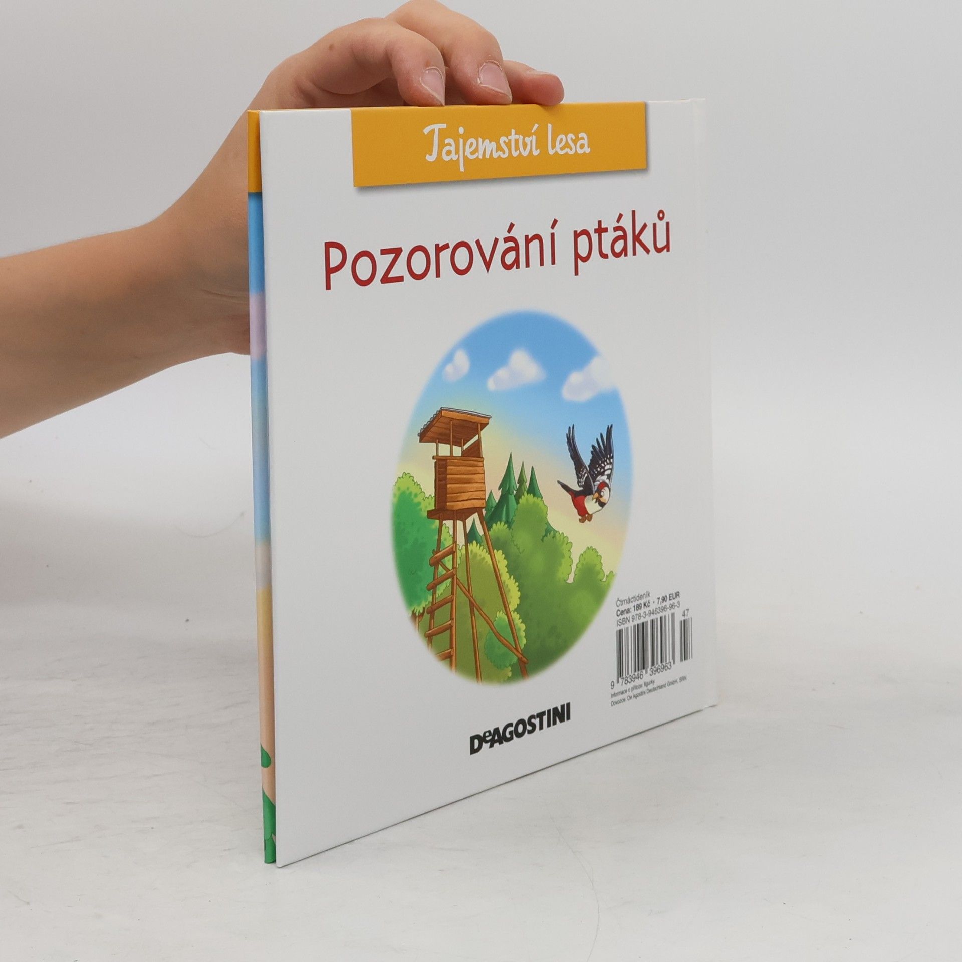 Kolektiv autorů Tajemství lesa 59. Pozorování ptáků