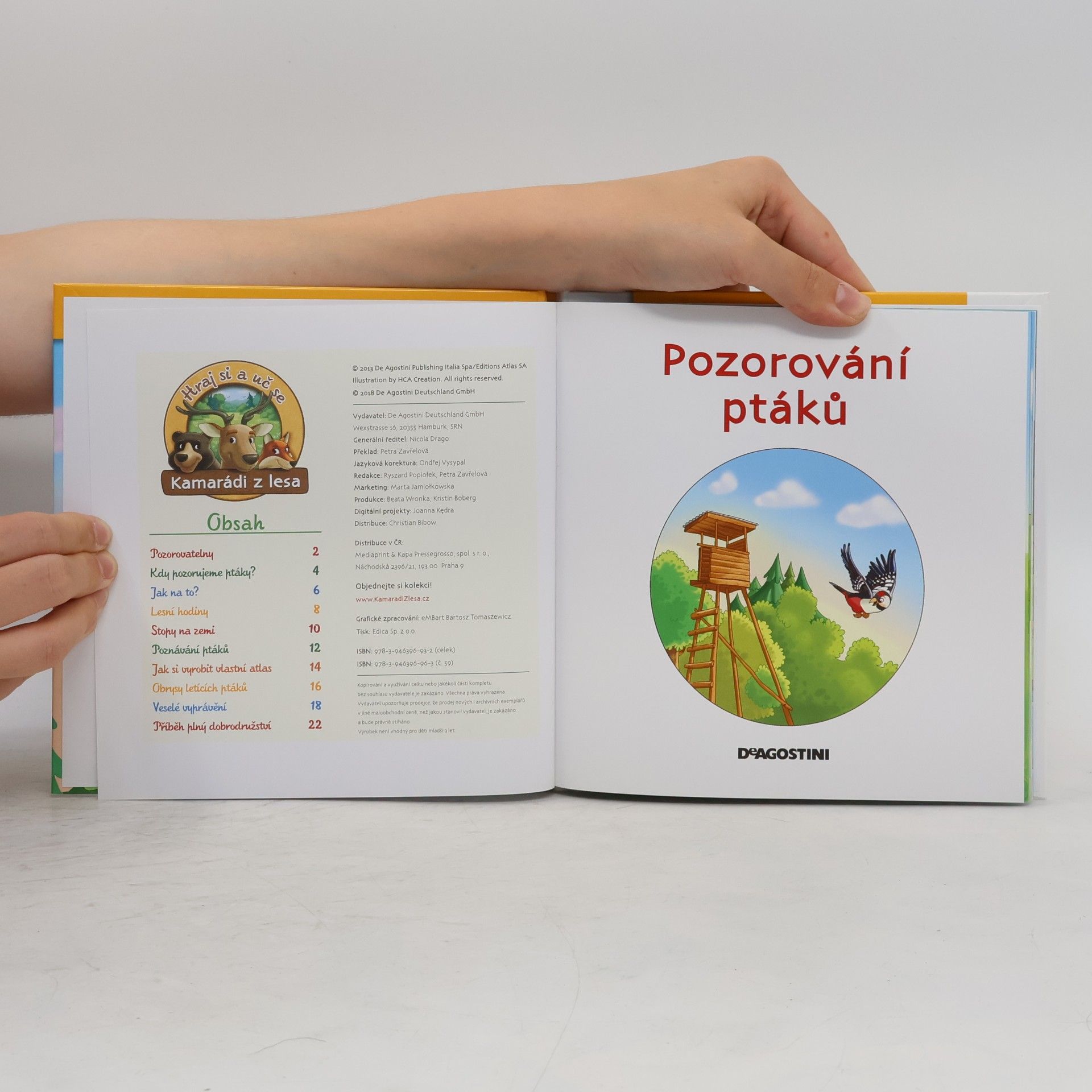Kolektiv autorů Tajemství lesa 59. Pozorování ptáků