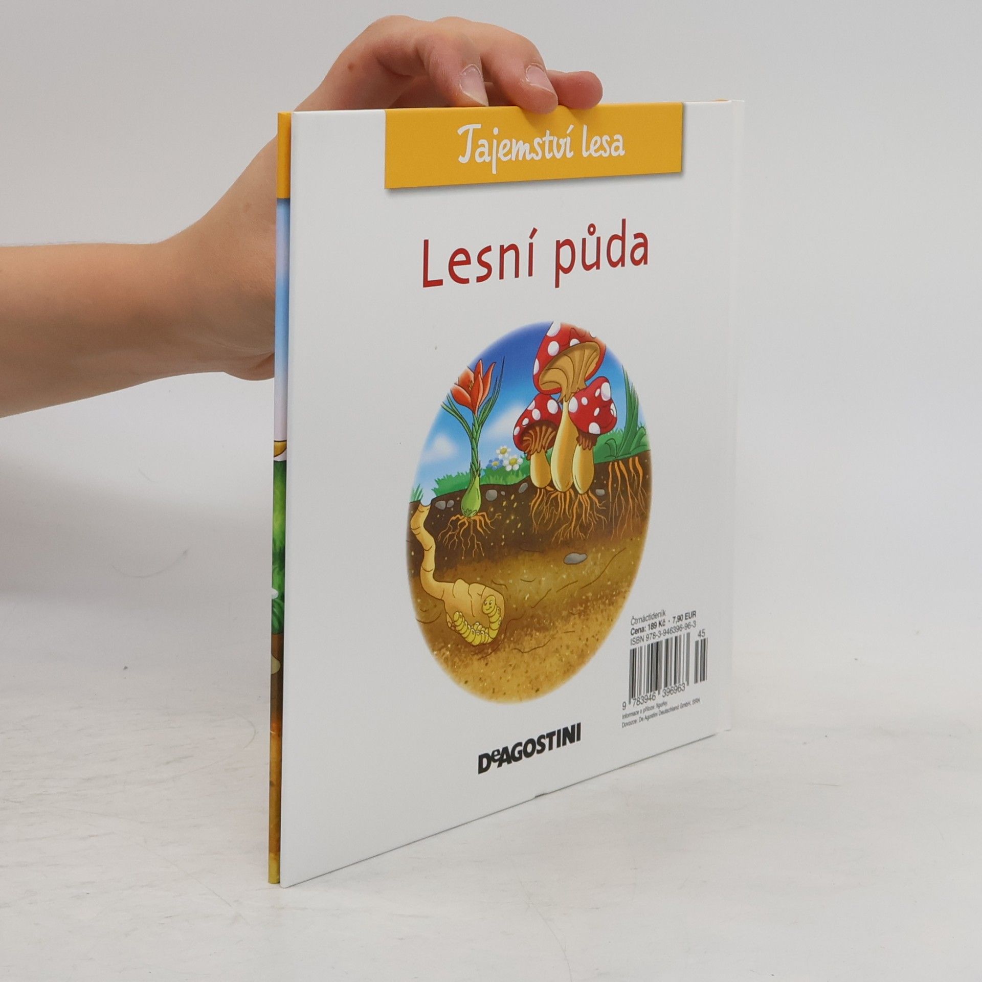 Kolektív autorov Tajemství lesa 58. Lesní půda