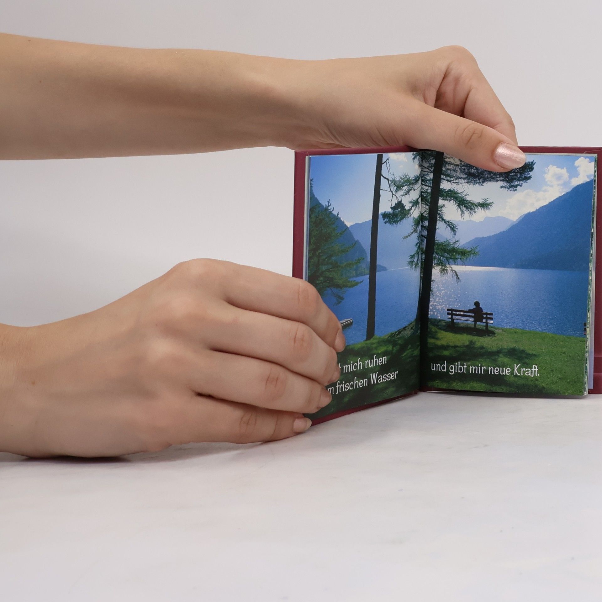 Autorenkollektiv Ich schenk dir Psalm 23