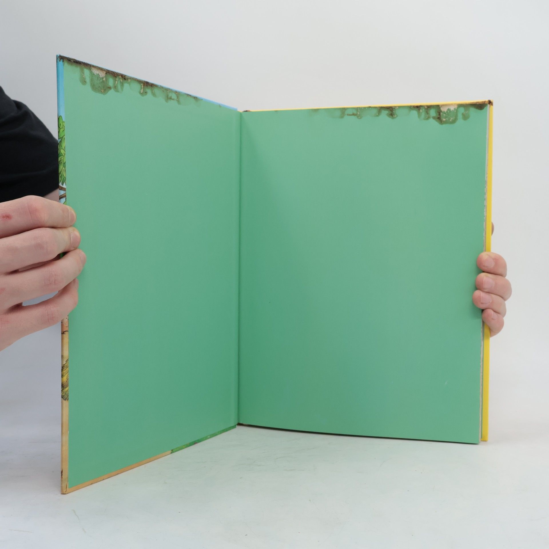 Katharina Brenner Mein großes Buch vom Bauernhof
