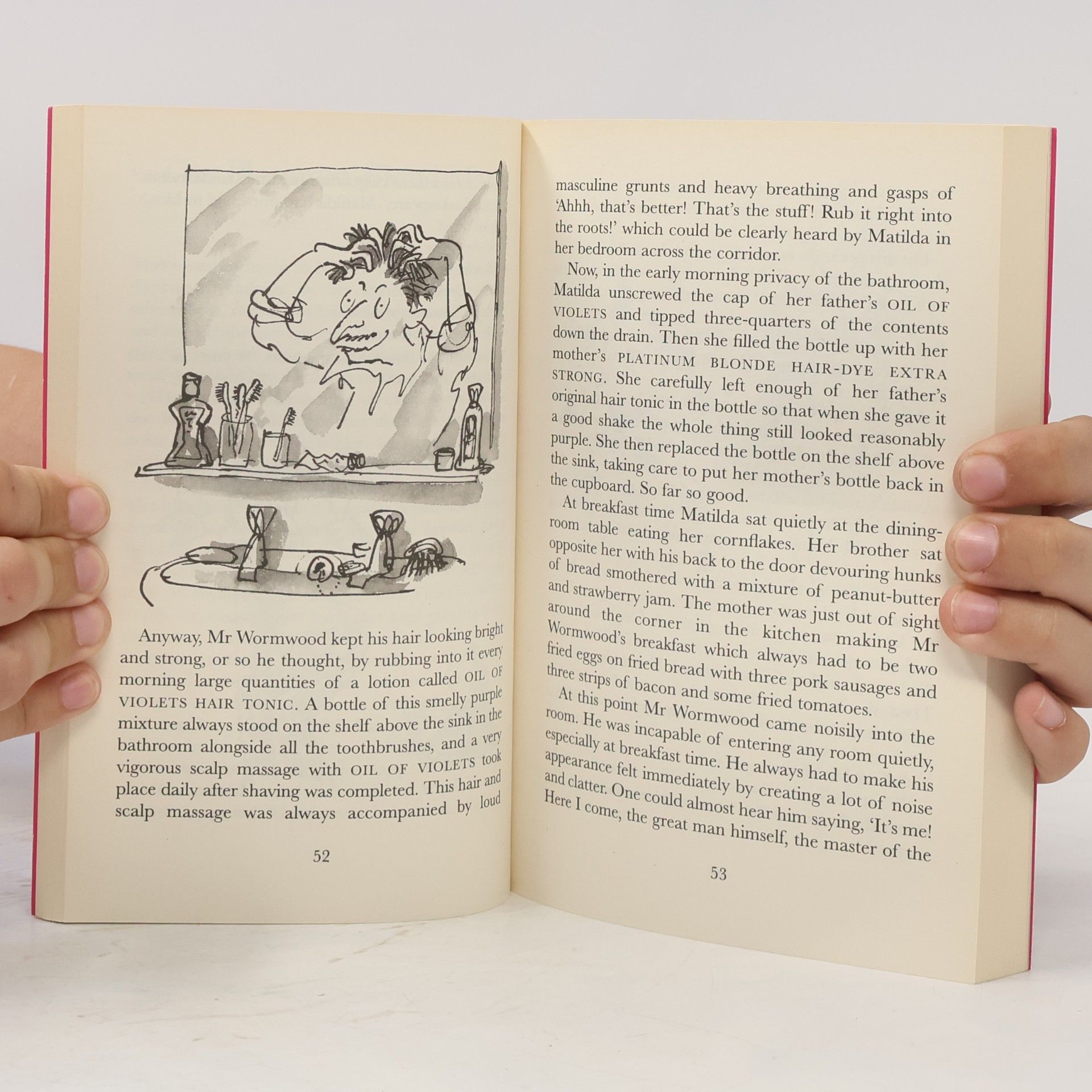 Roald Dahl Matilda