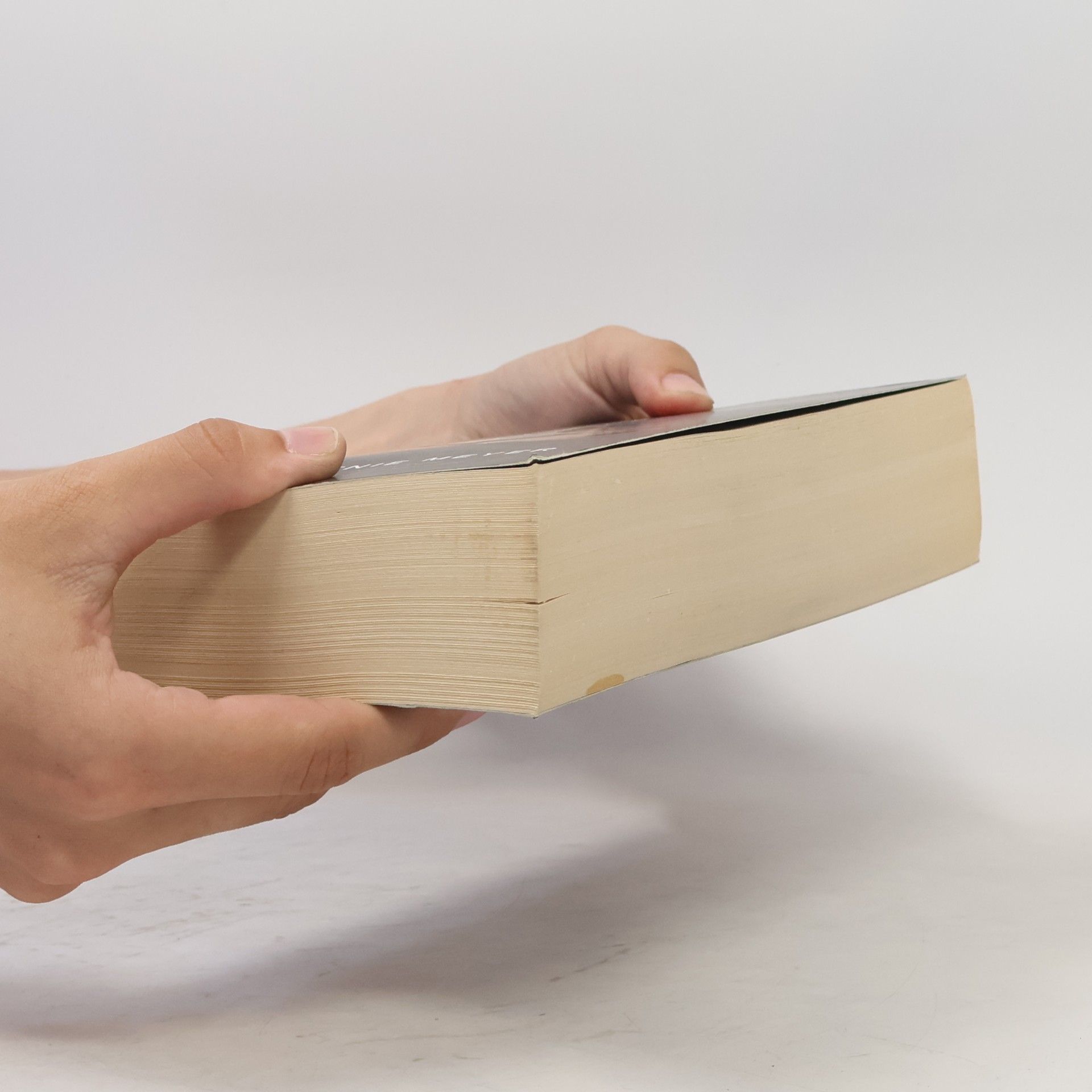 Stephenie Meyer Breaking dawn