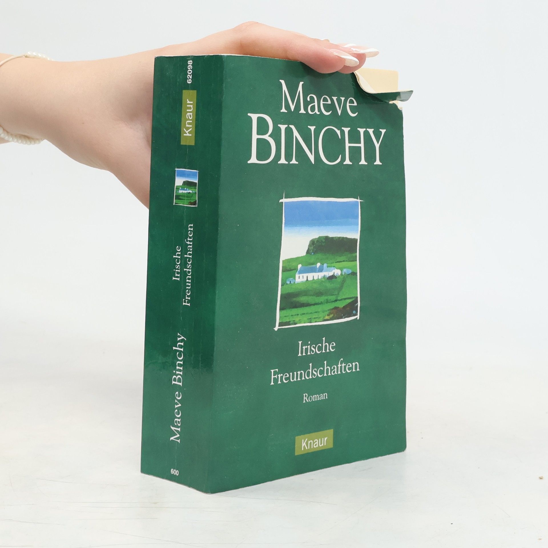 Maeve Binchy Irische Freundschaften