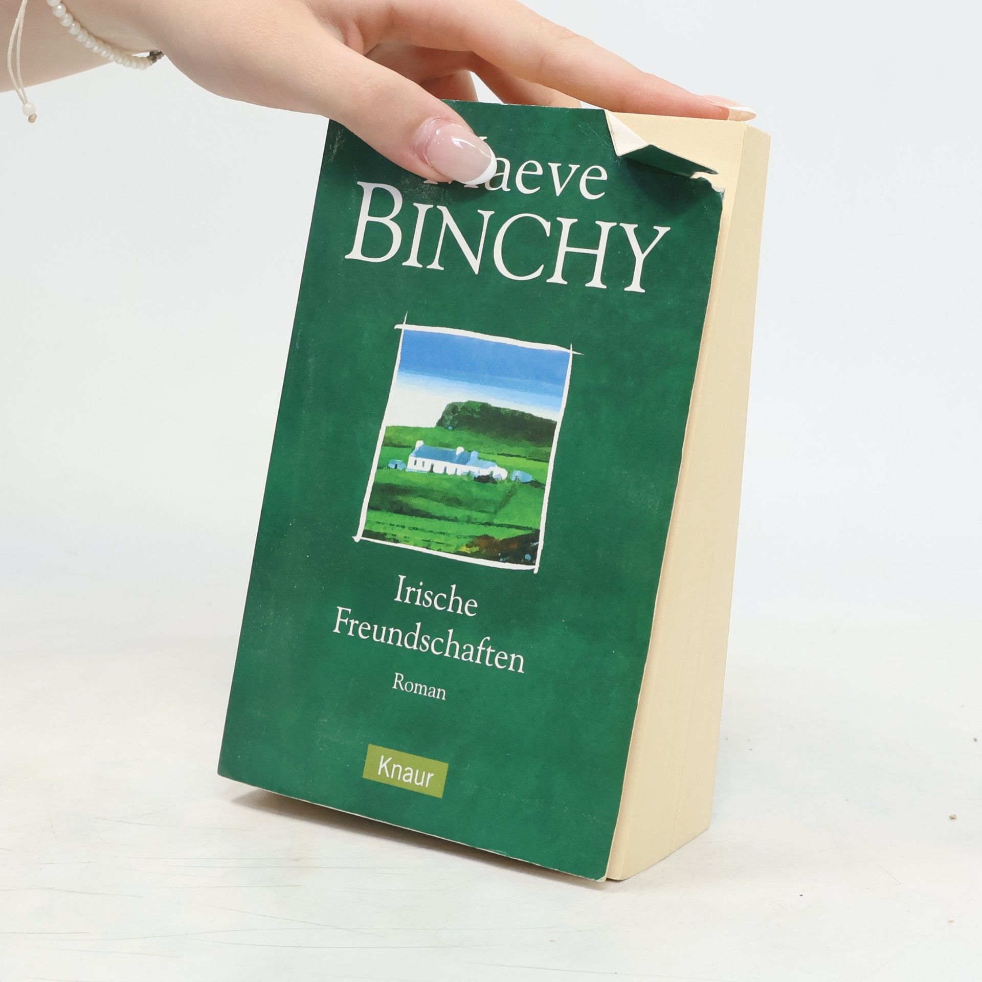 Maeve Binchy Irische Freundschaften