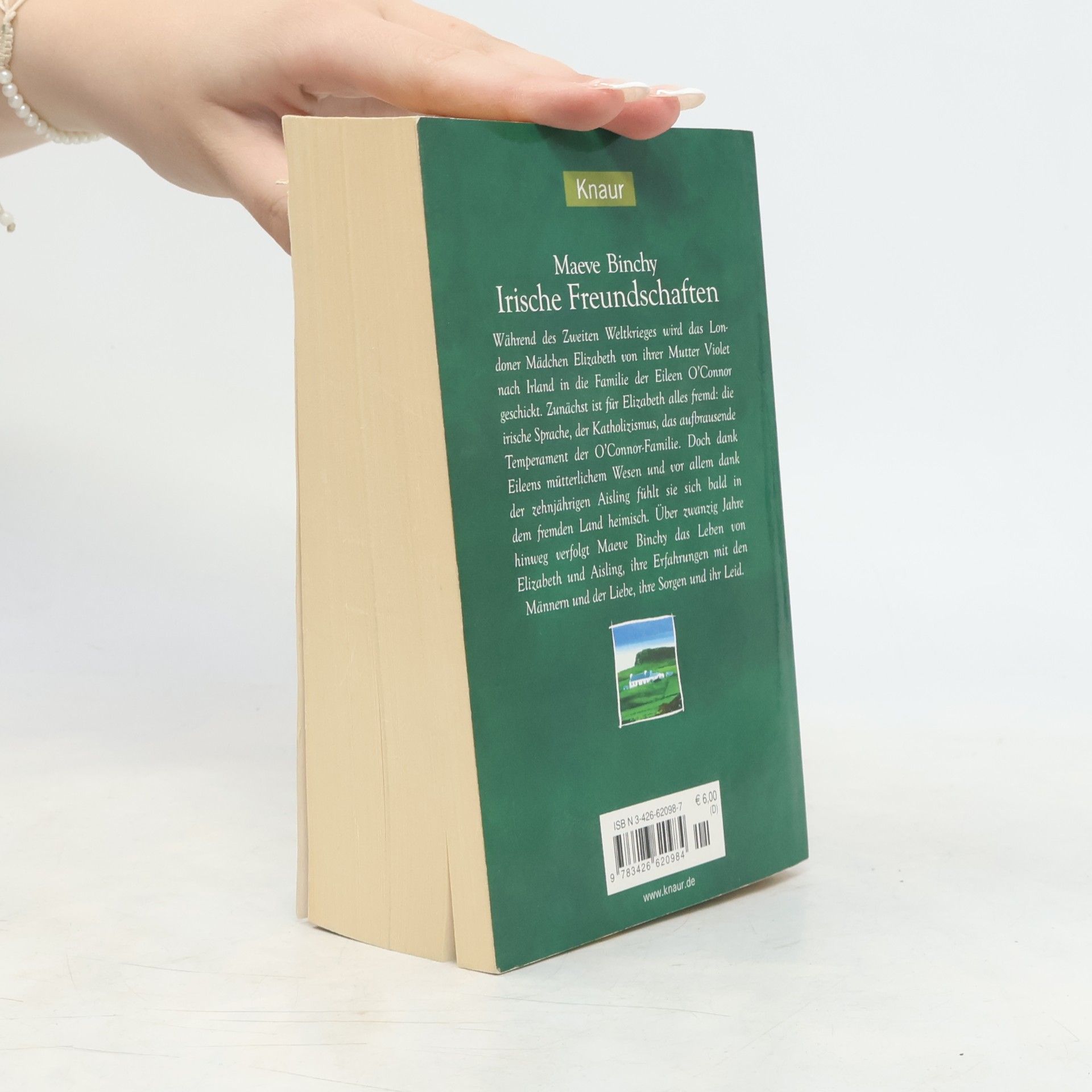 Maeve Binchy Irische Freundschaften