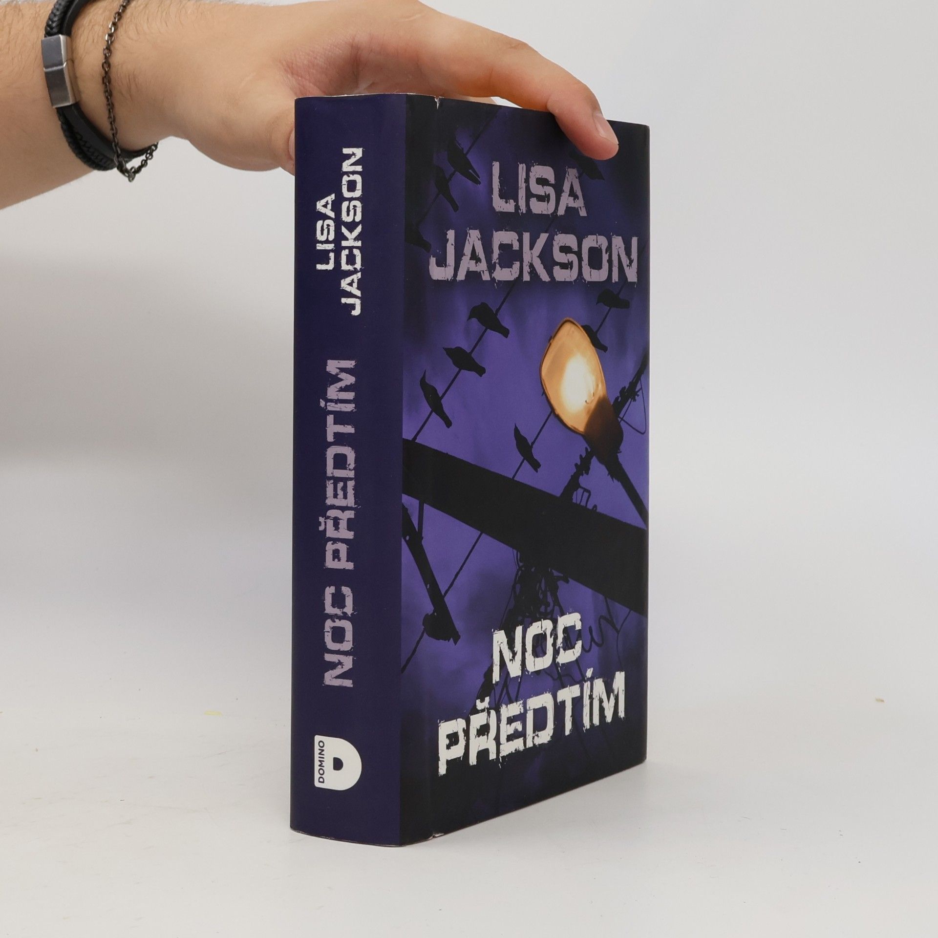 Lisa Jackson Noc předtím