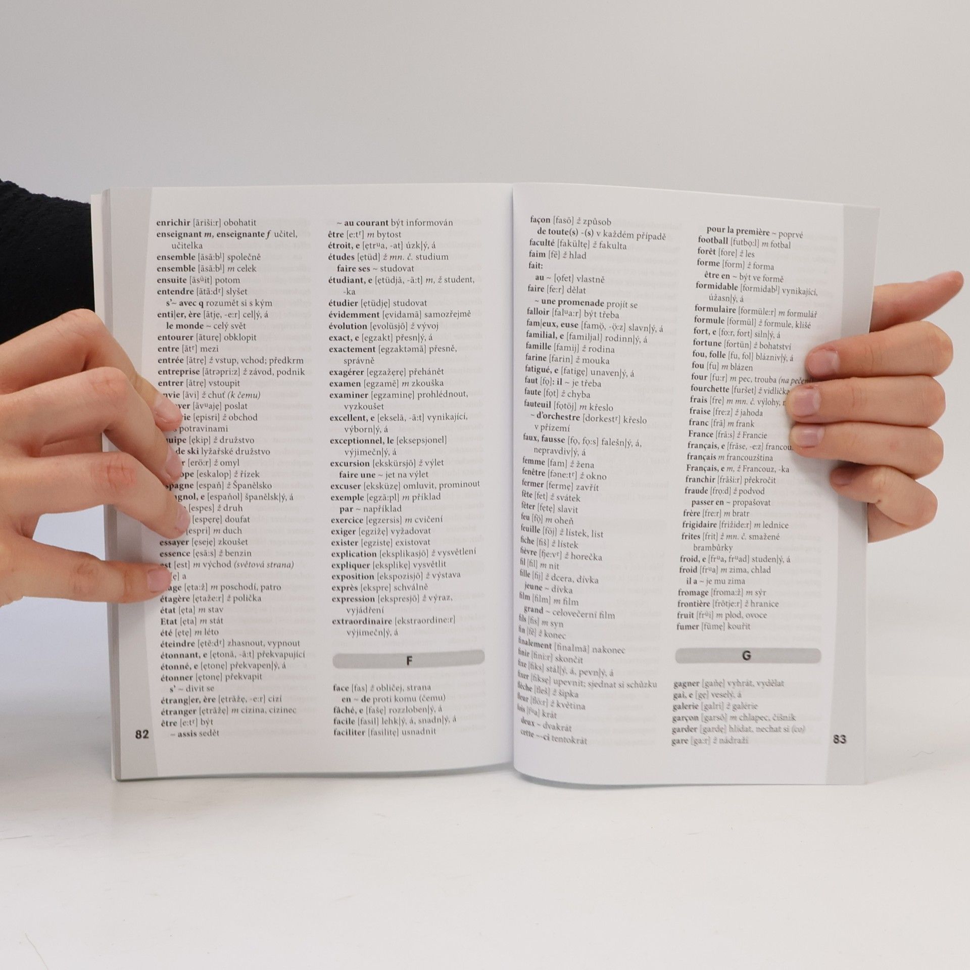 Autorenkollektiv Francouzština nejen pro samouky. Klíč, slovník