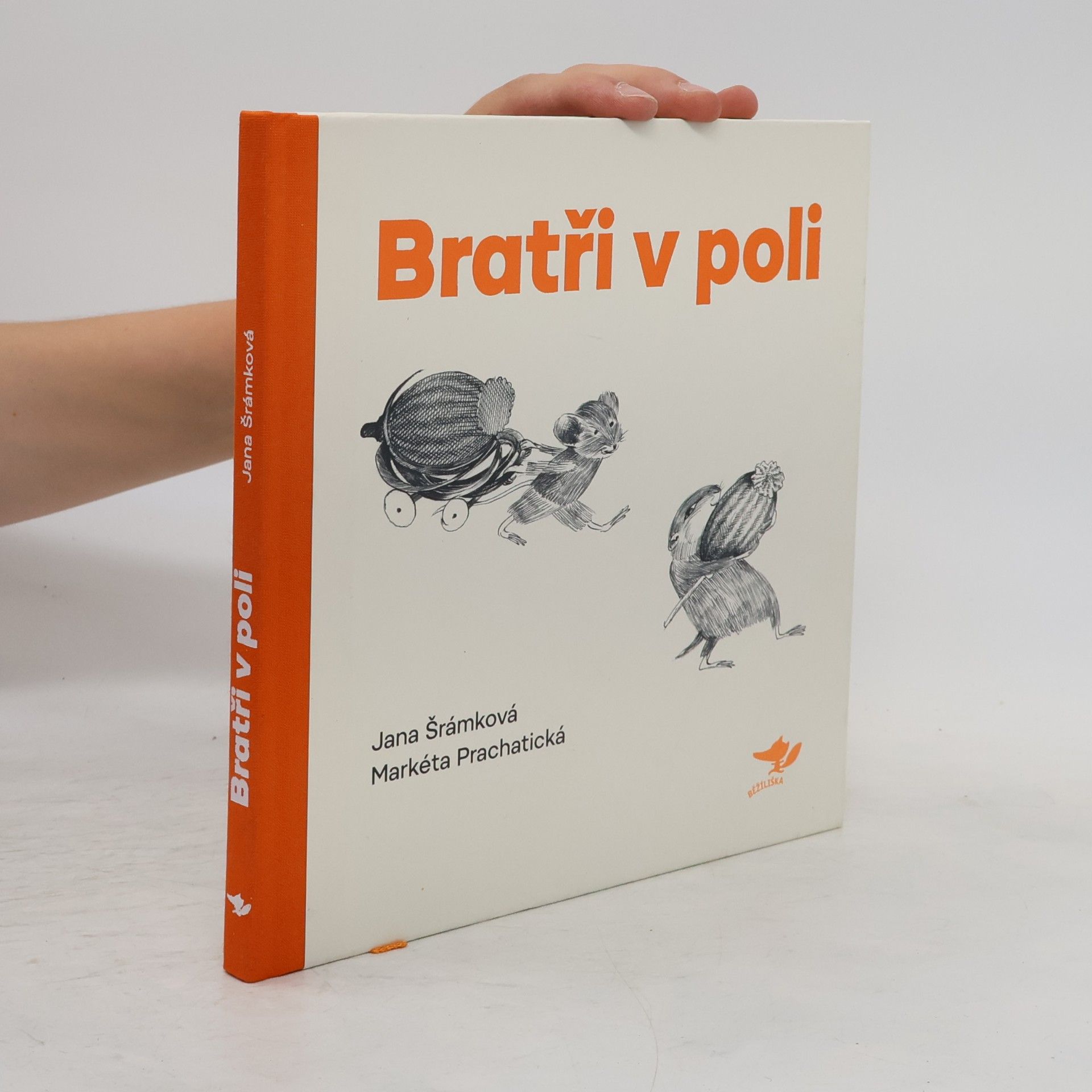 Jana Šrámková Bratři v poli