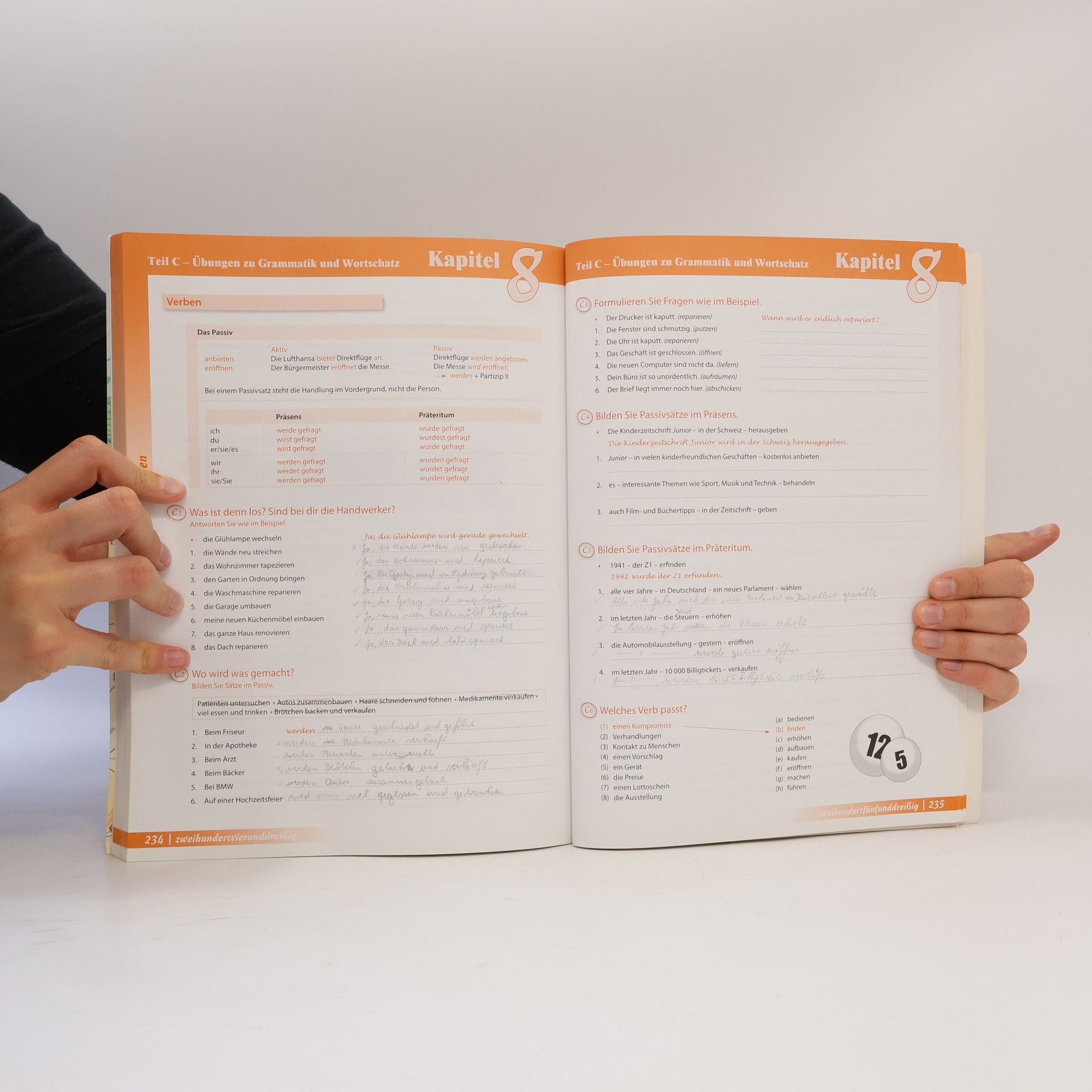 Anne Buscha Begegnungen. Sprachniveau A2+, Integriertes Kurs- und Arbeitsbuch