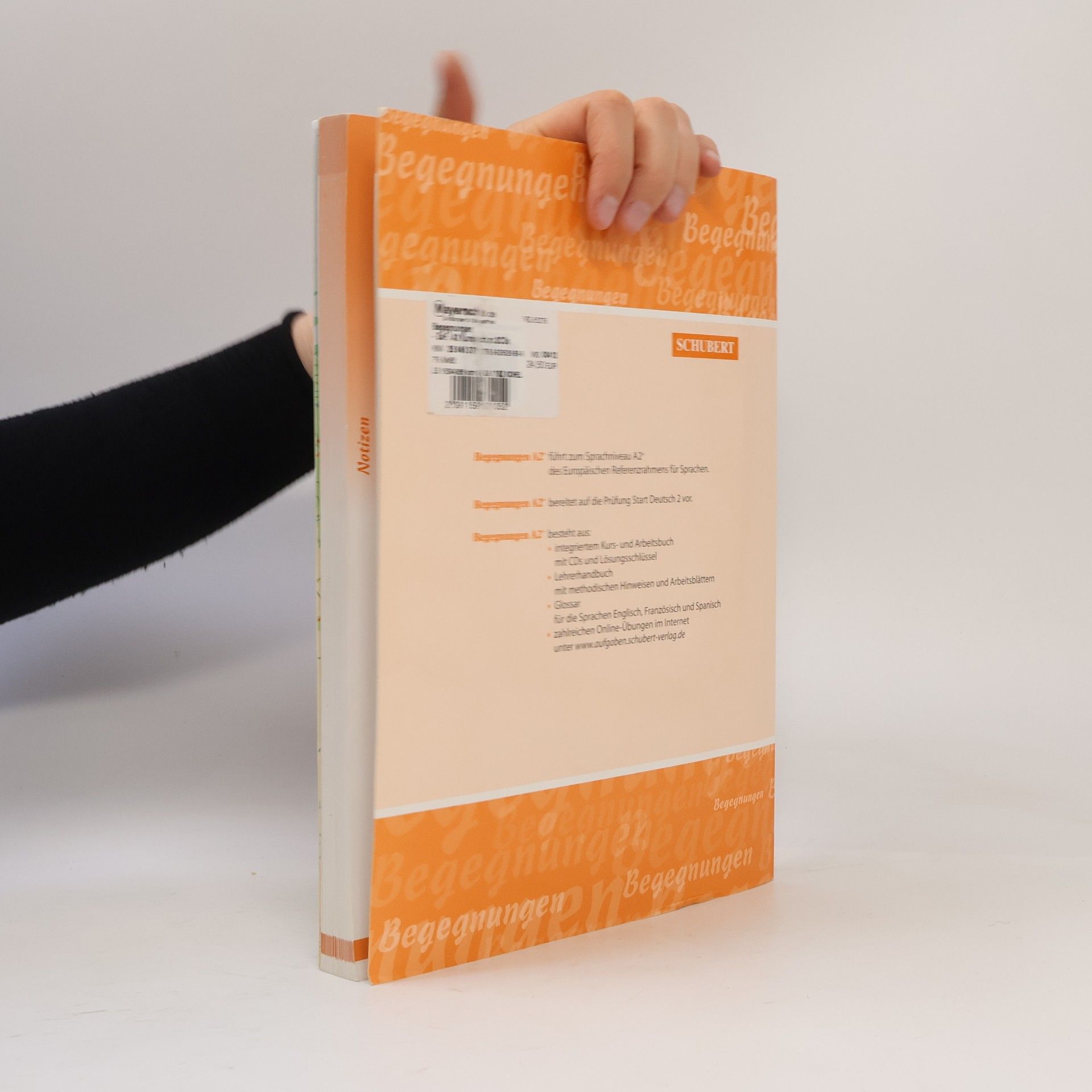 Anne Buscha Begegnungen. Sprachniveau A2+, Integriertes Kurs- und Arbeitsbuch