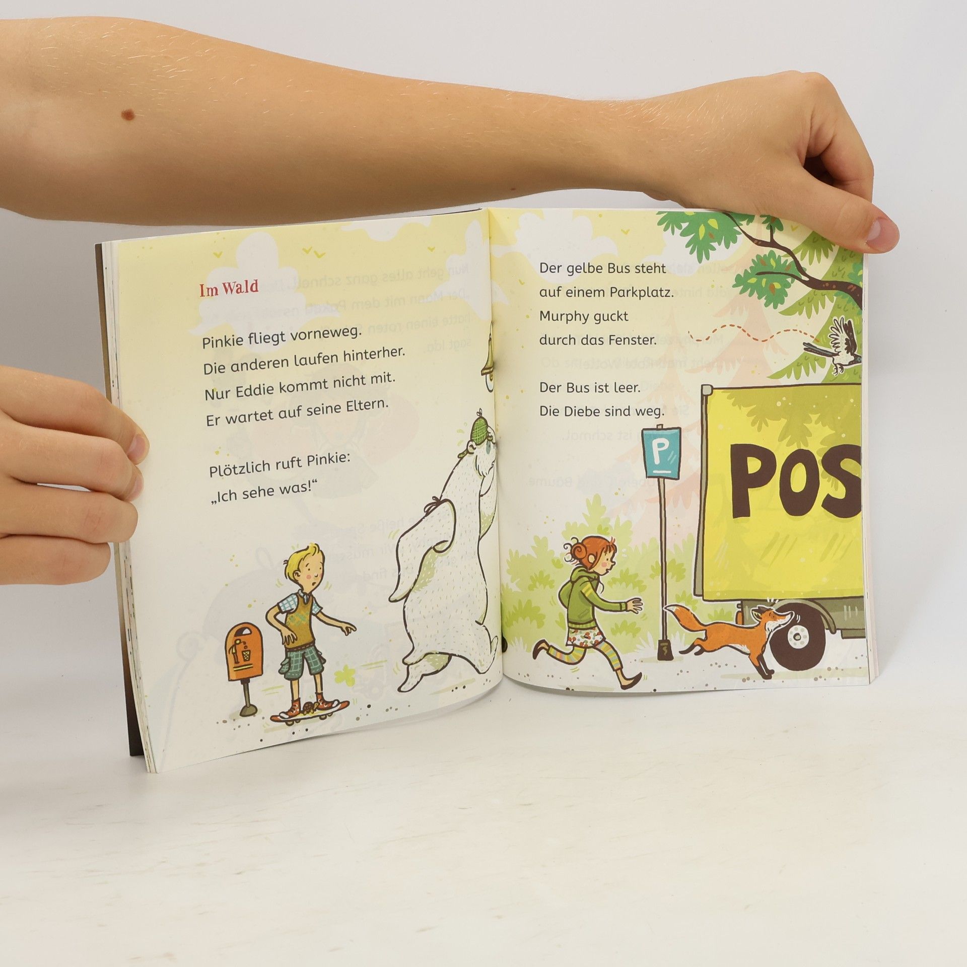 Margit Auer Die Schule der Magischen Tiere. Der Kokosnuss-Klau