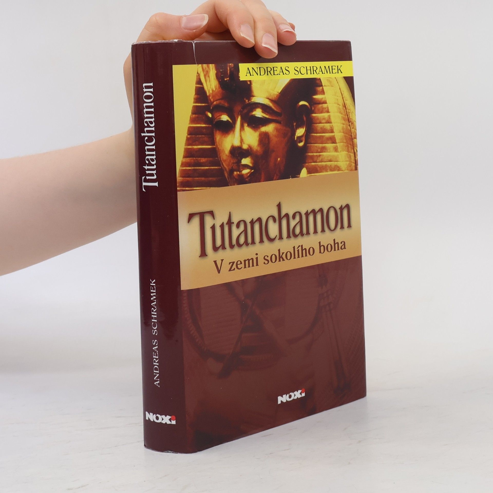 Rudolf Řežábek Tutanchamon: V zemi sokolího boha
