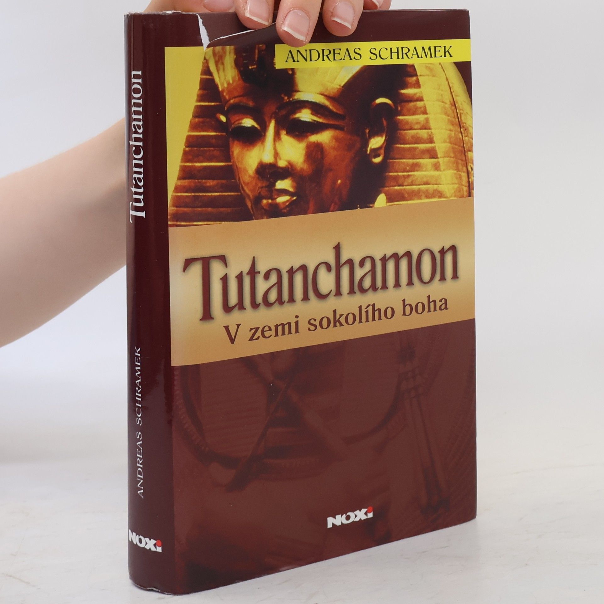 Rudolf Řežábek Tutanchamon: V zemi sokolího boha