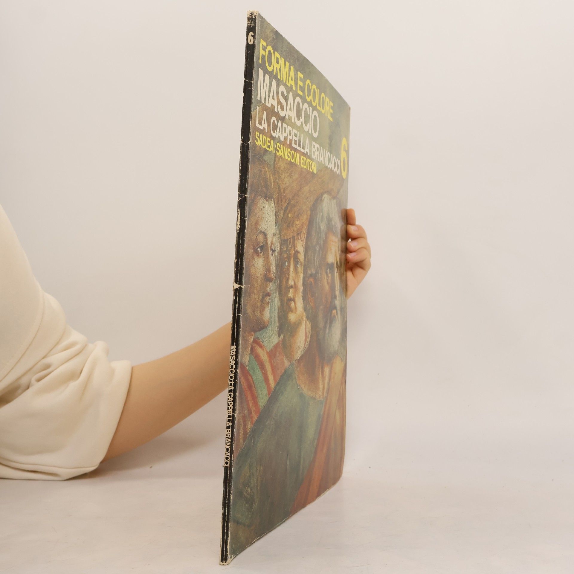 AA.VV. Forma e colore Masaccio la cappella Brancacci 6