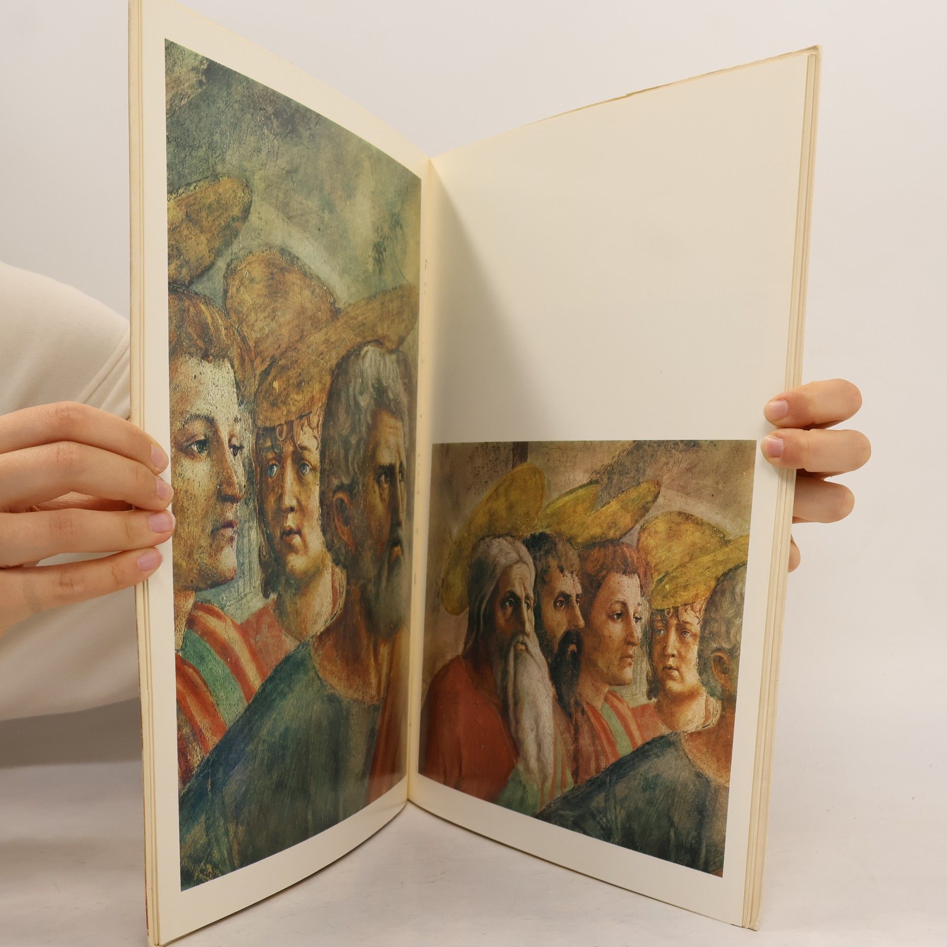 Kolektív autorov Forma e colore Masaccio la cappella Brancacci 6