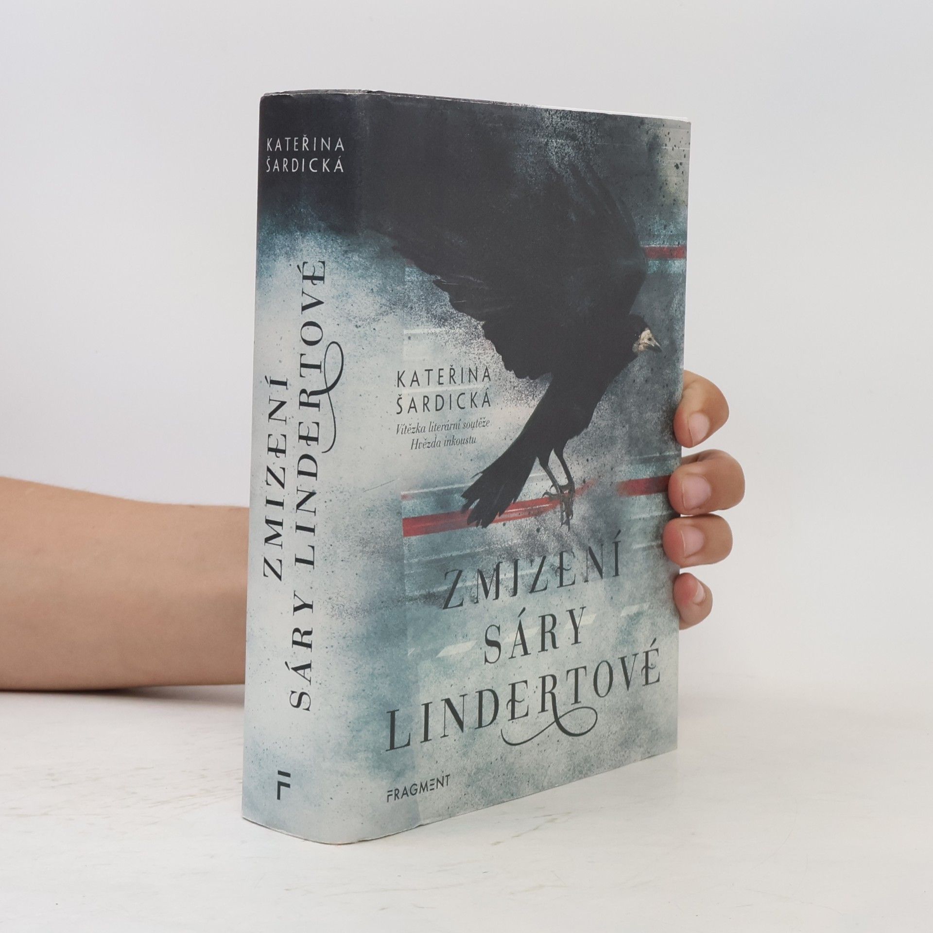 Kateřina Šardická Zmizení Sáry Lindertové