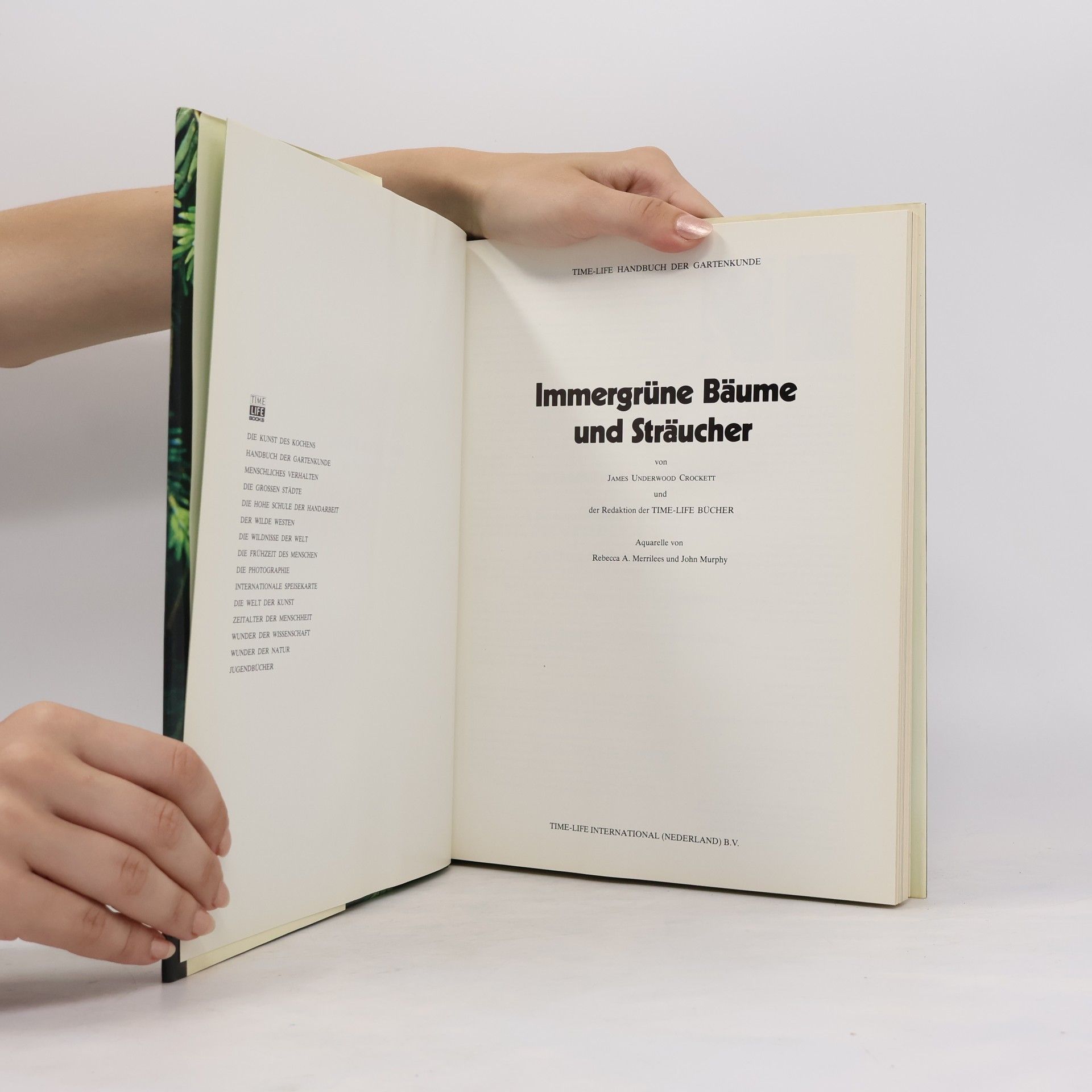 Autorenkollektiv Immergrüne Bäume und Sträucher