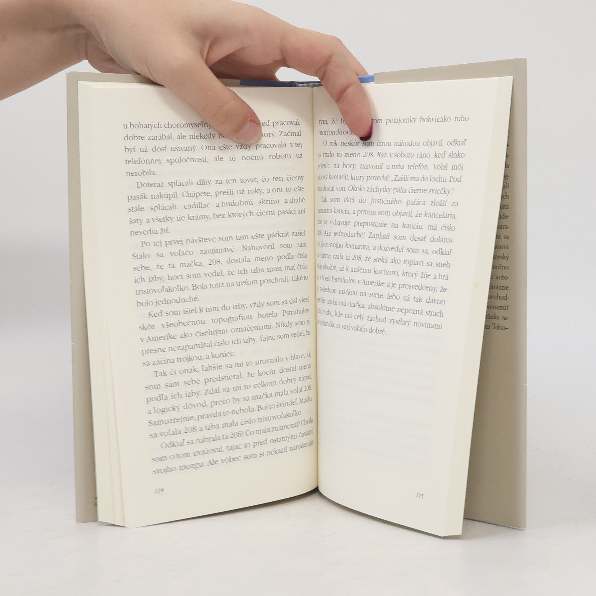 Richard Brautigan Pstruholov v Amerike