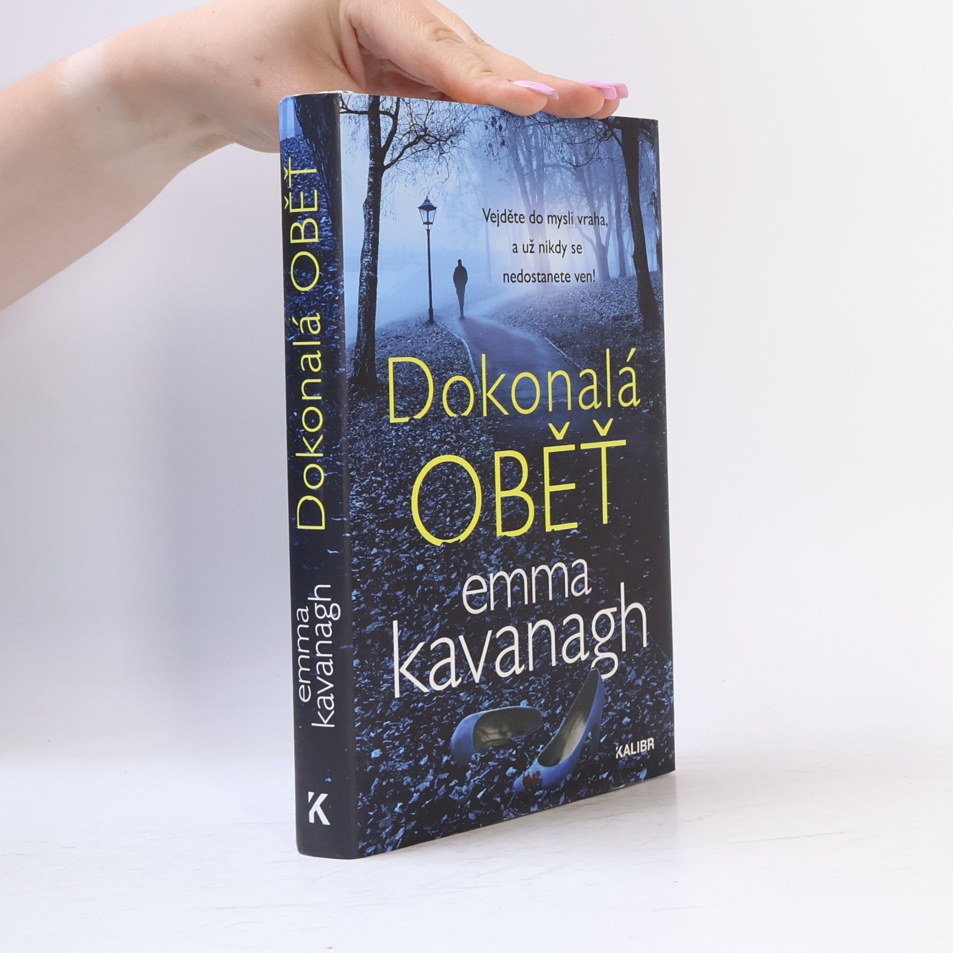 Emma Kavanagh Dokonalá oběť