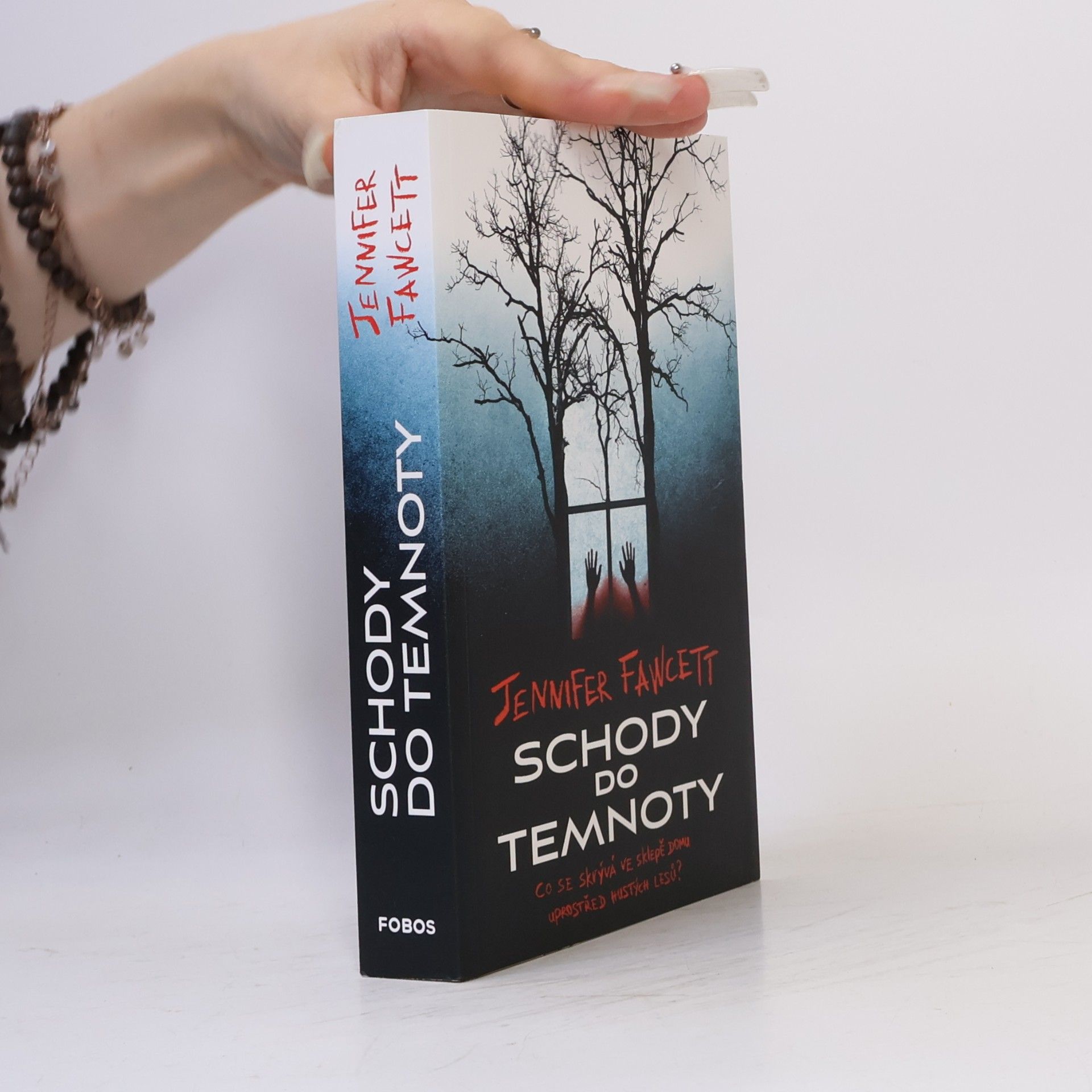 Jennifer Fawcett Schody do temnoty