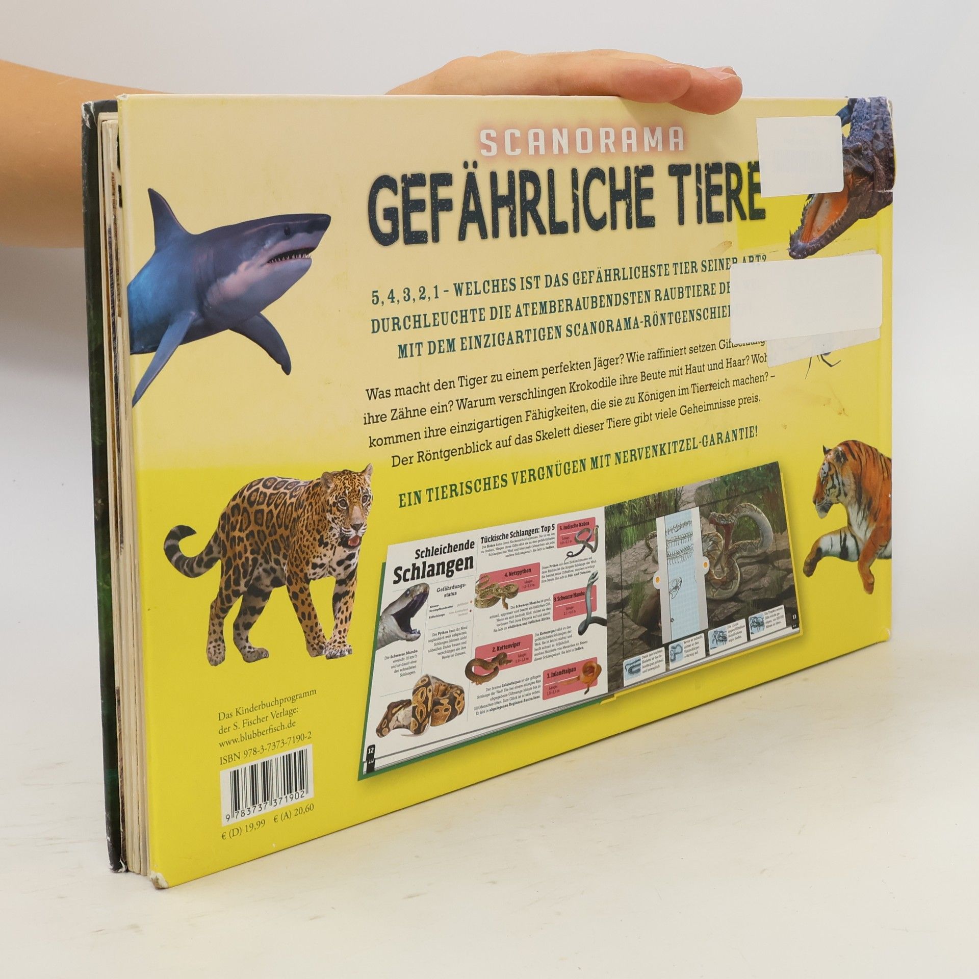 Anna Claybourne Gefährliche Tiere