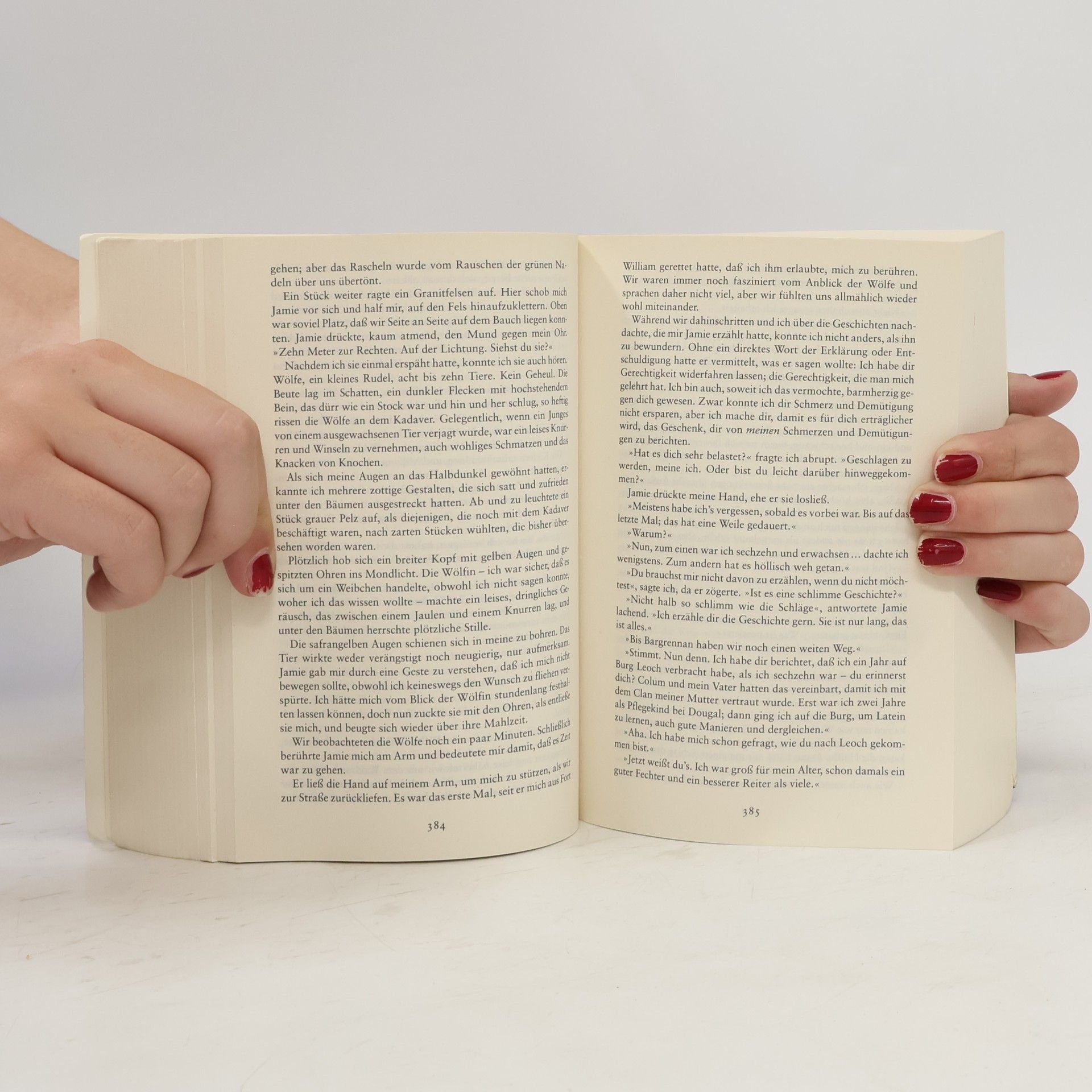 Diana Gabaldon Feuer und Stein