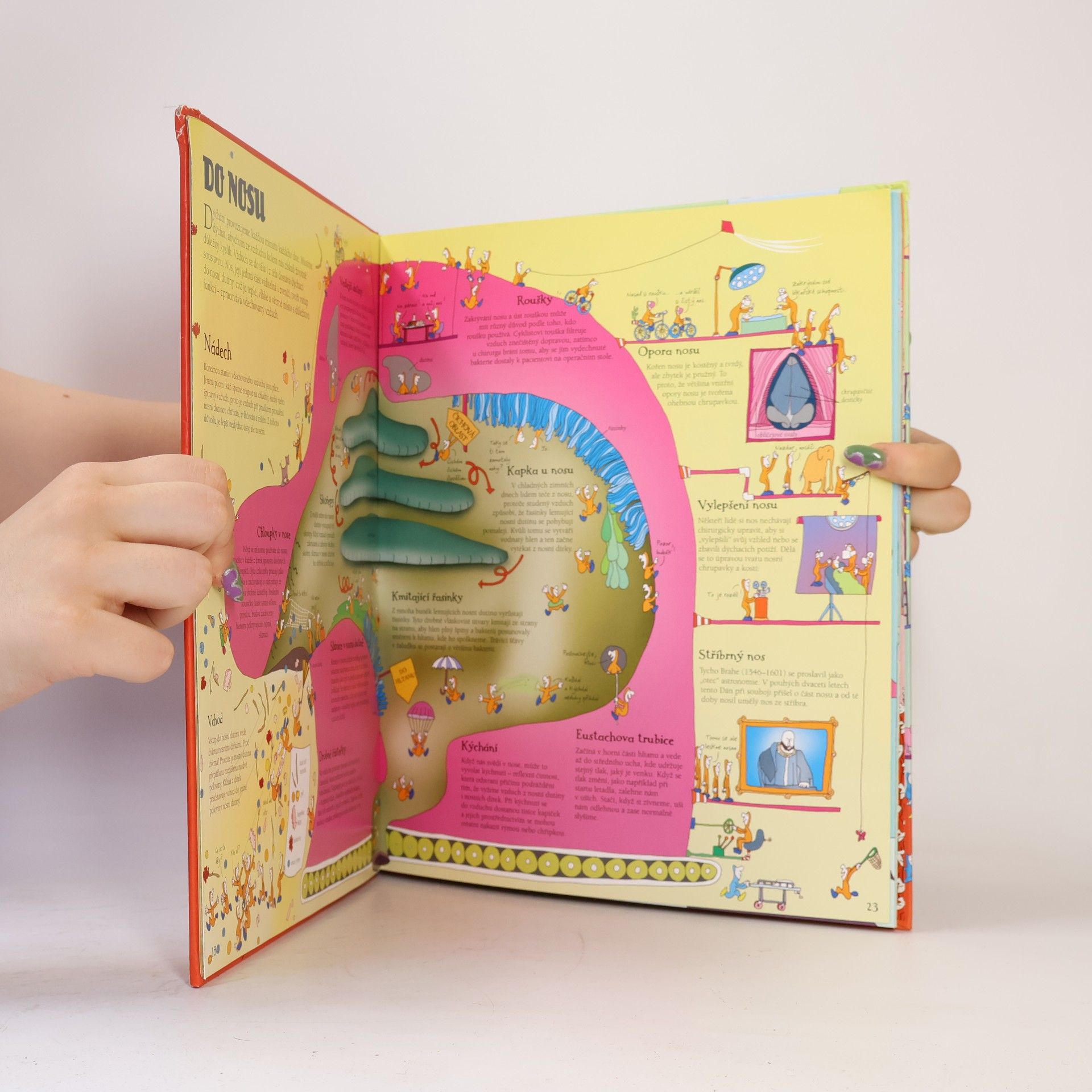 Lisa Swerling Jak funguje neuvěřitelné lidské tělo podle Koumáků