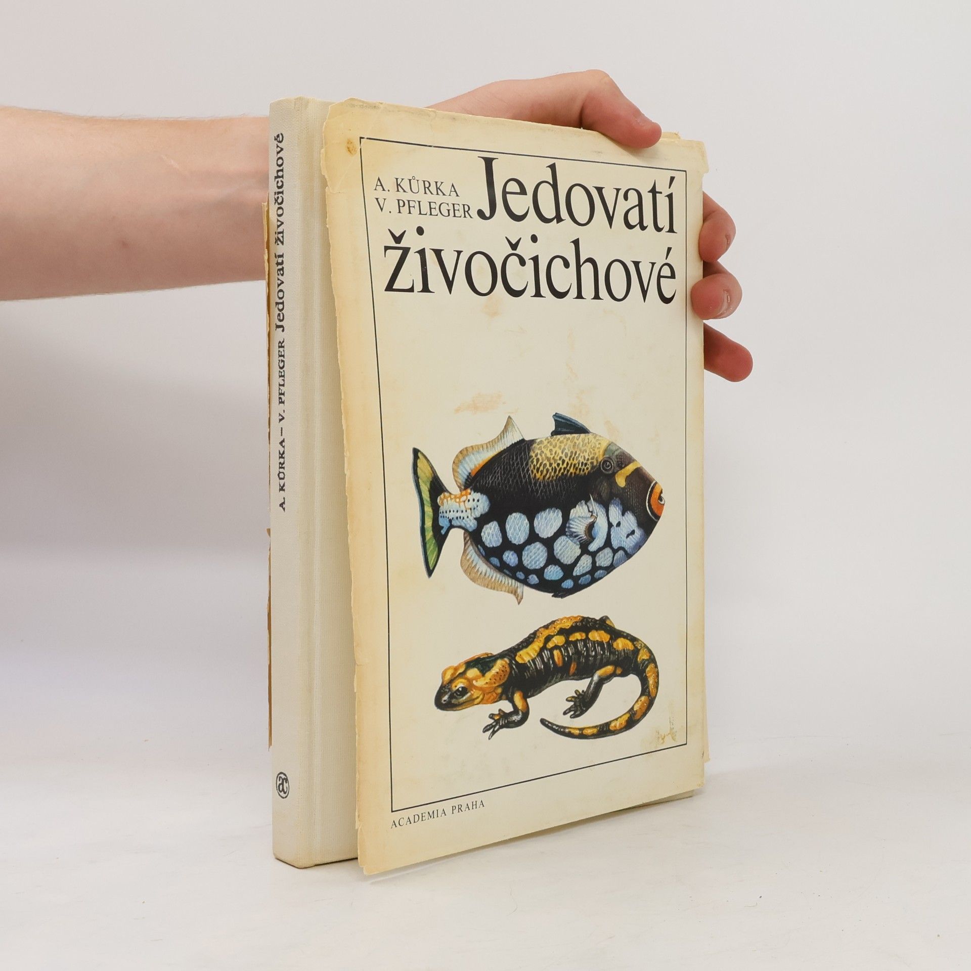 Jedovatí živočichové