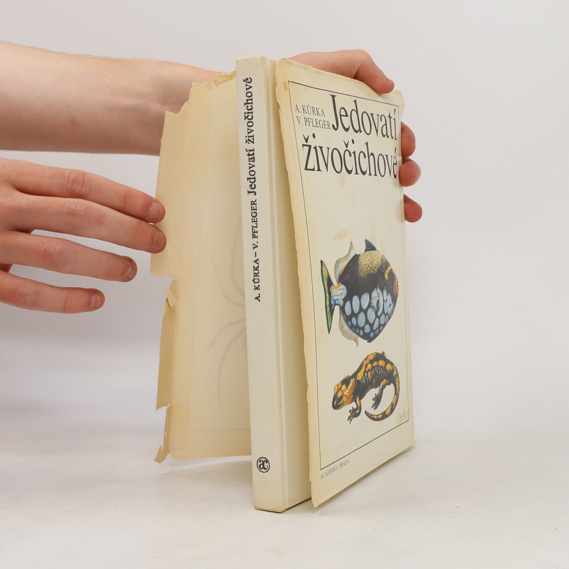Antonín Kůrka Jedovatí živočichové