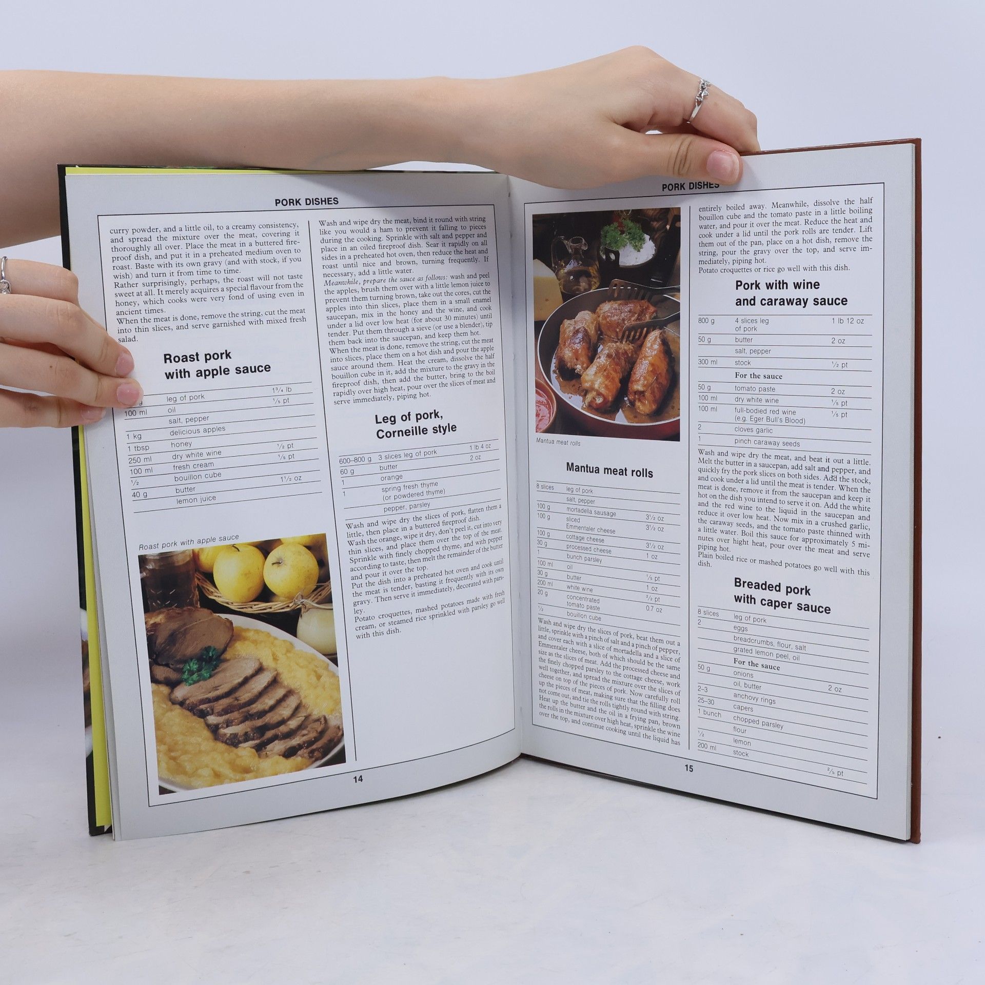 Mari Lajos 99 meat dishes with 33 colour photographs