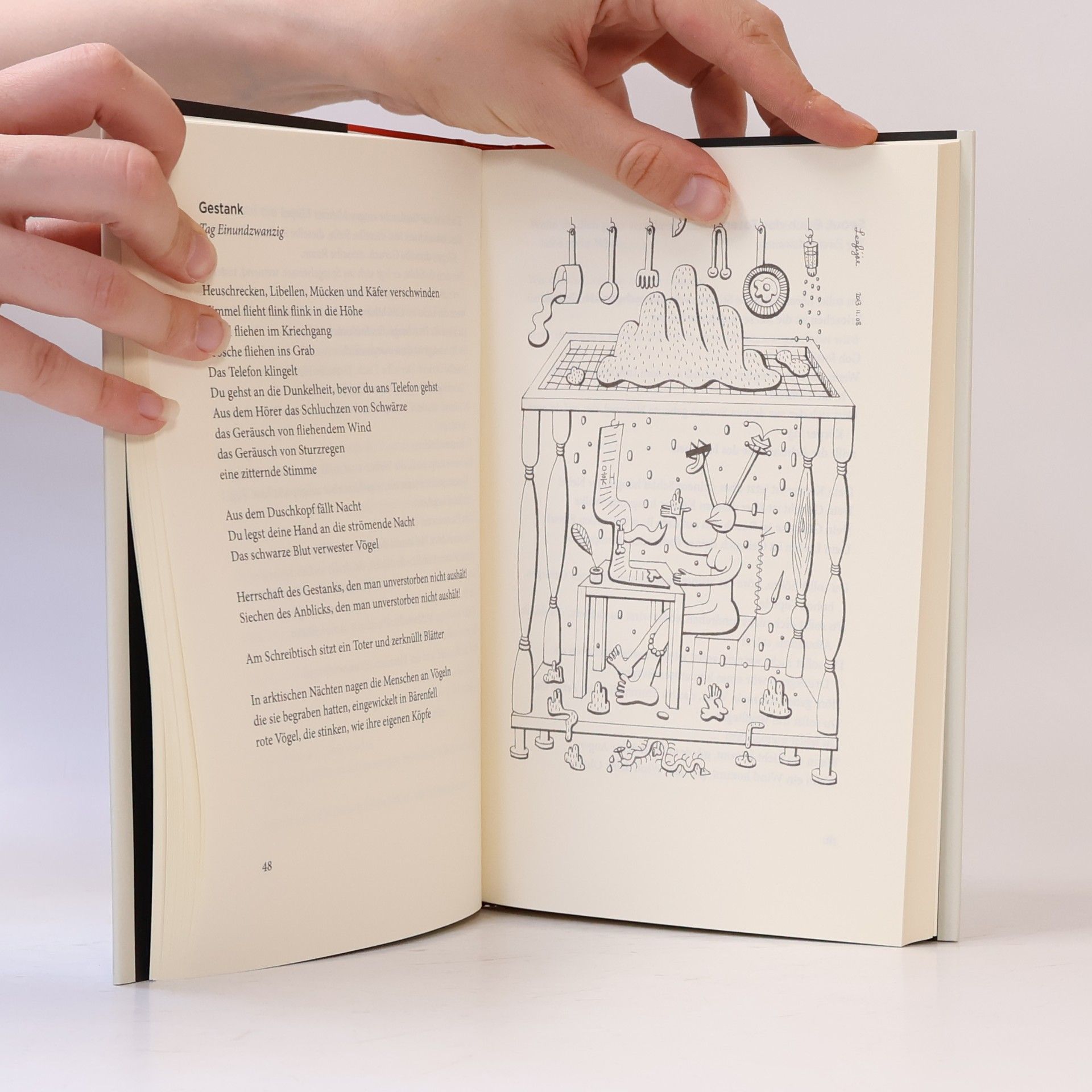 Kim Hyesoon Autobiographie des Todes