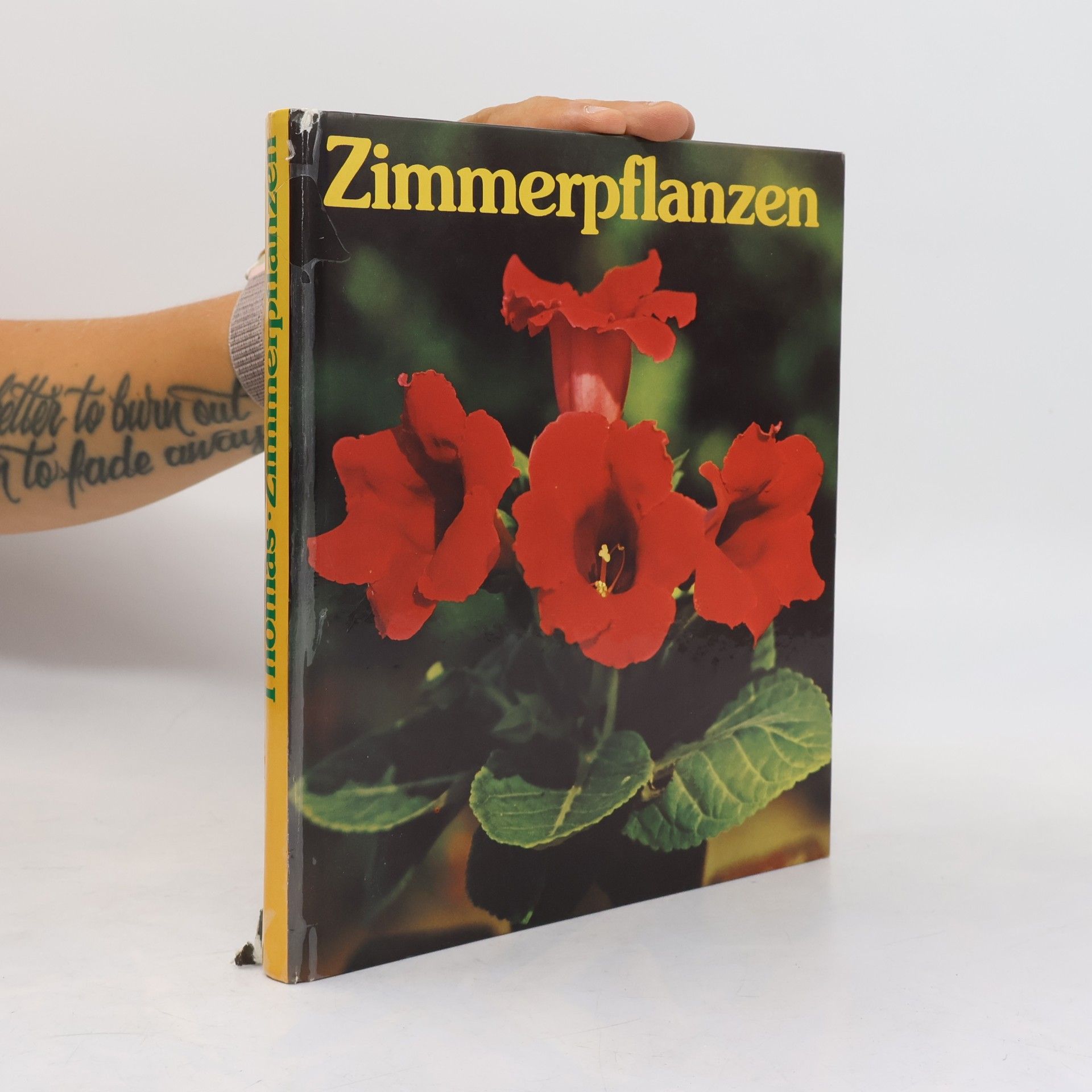 Editha Thomas Zimmerpflanzen