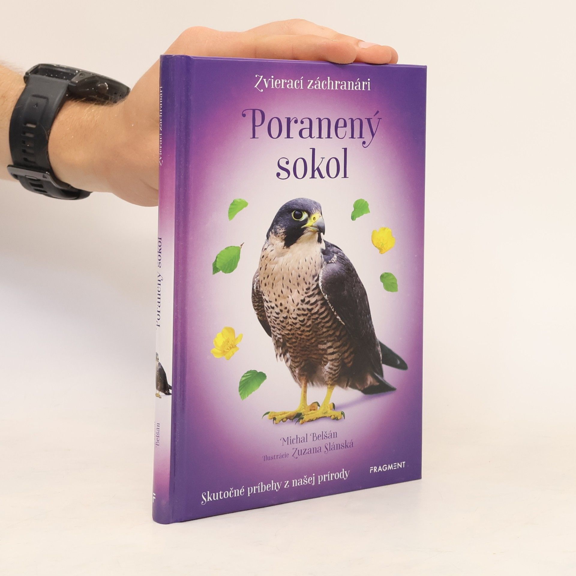 Zvierací záchranári - Poranený sokol