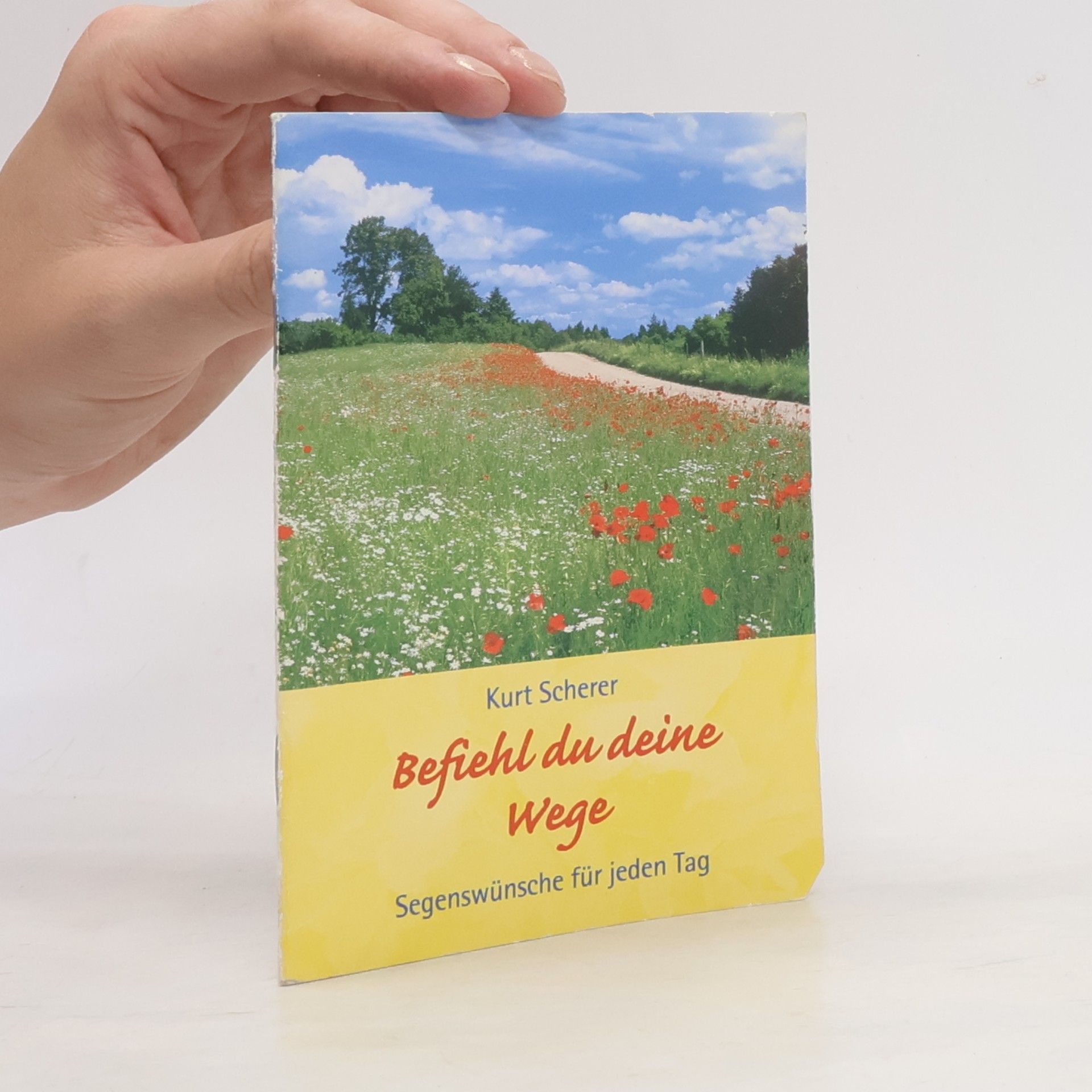 Befiehl du deine Wege