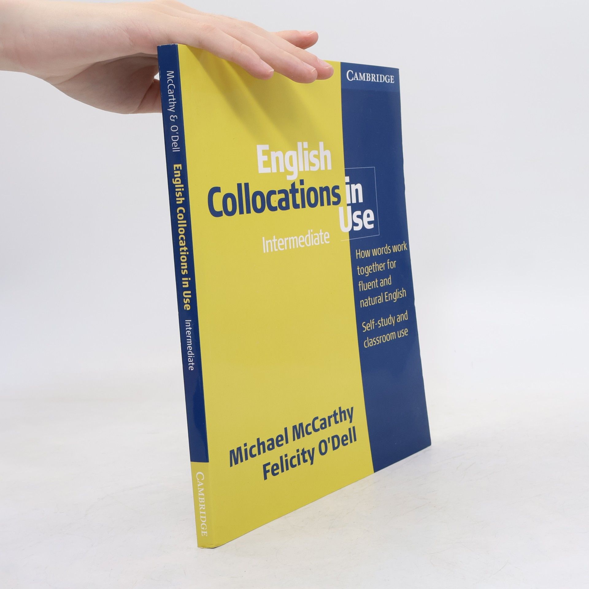 Michael McCarthy English collocations in use