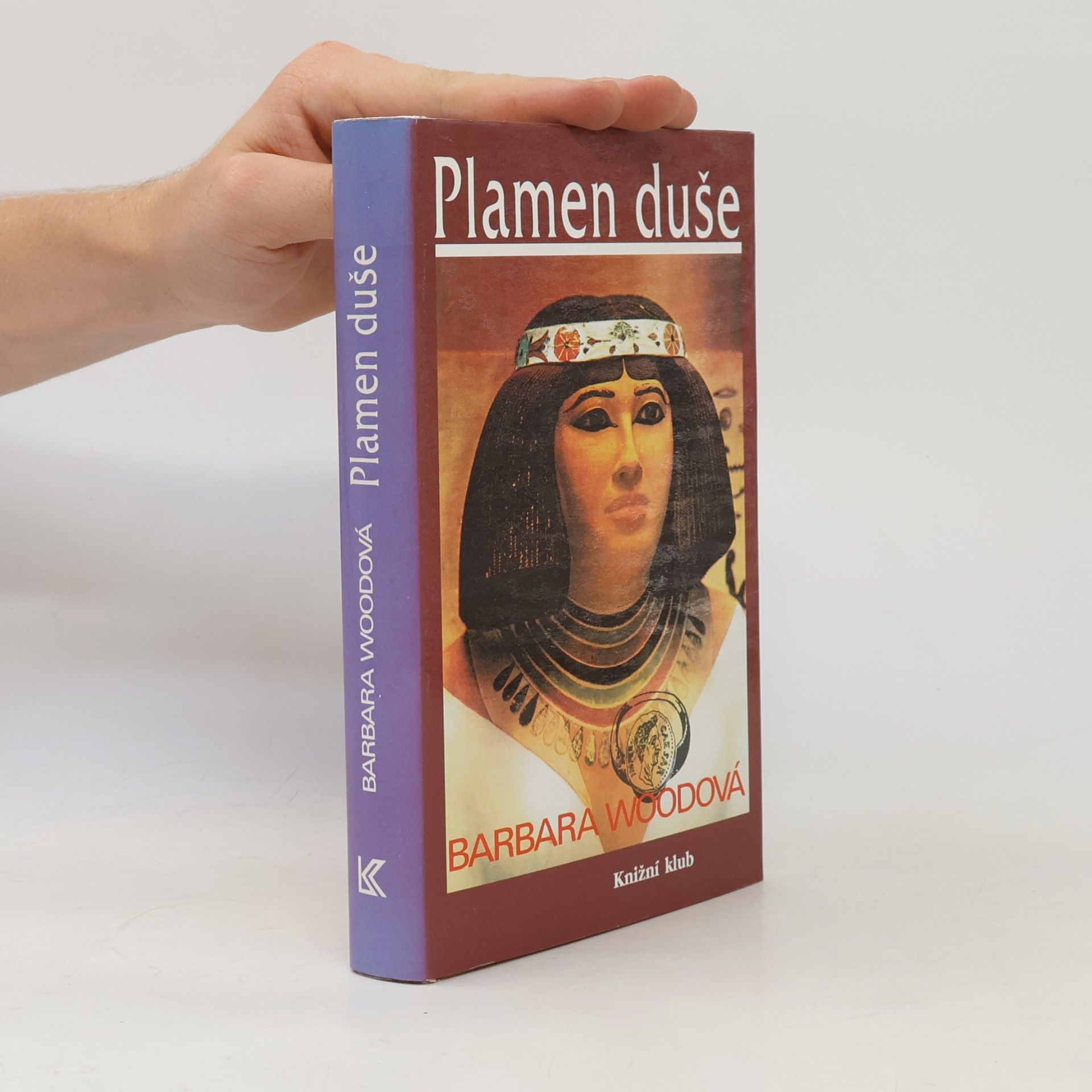 Barbara Wood Plamen duše