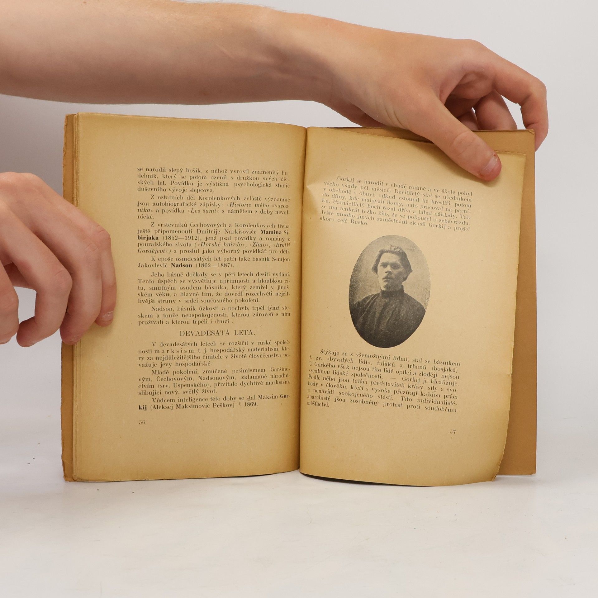 Václav Najbrt Stručné dějiny ruské literatury