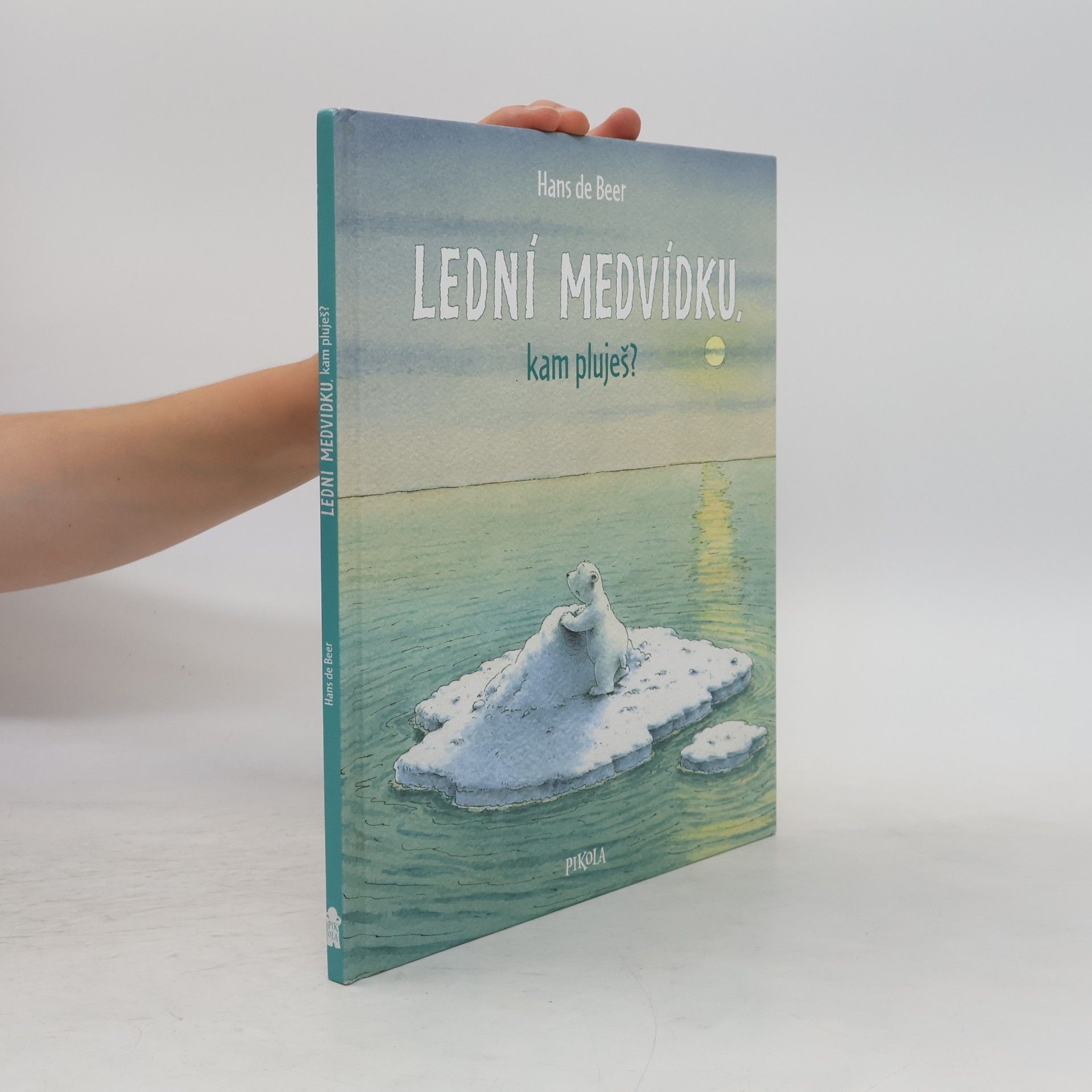 Hans de Beer Lední medvídku, kam pluješ?