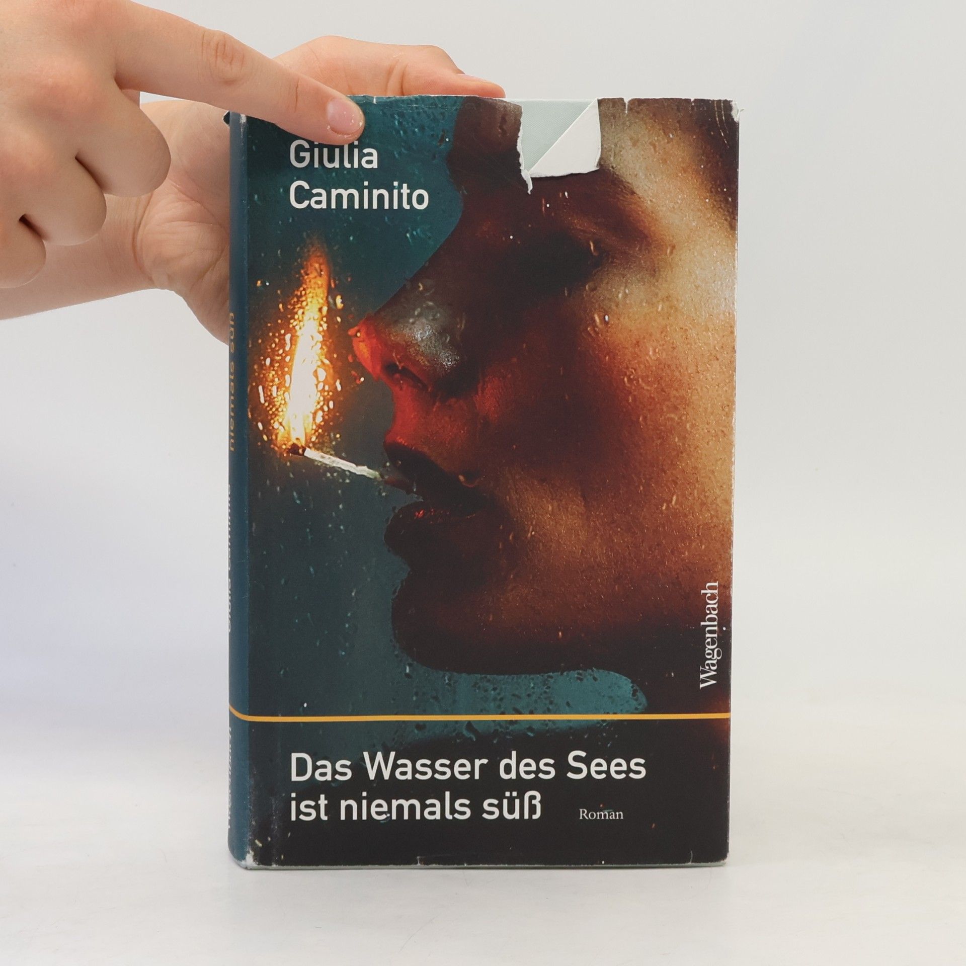 Giulia Caminito Das Wasser des Sees ist niemals süß