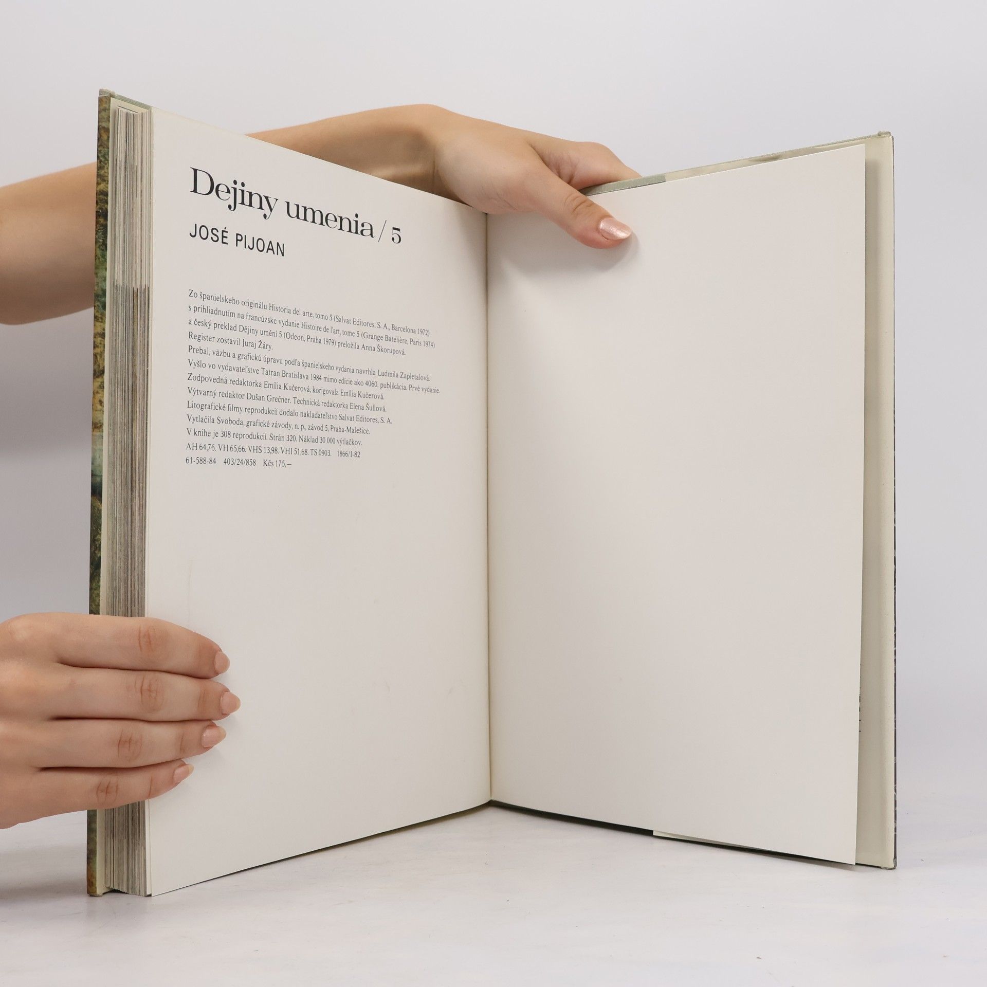 Josep Pijoan Dejiny umenia 5