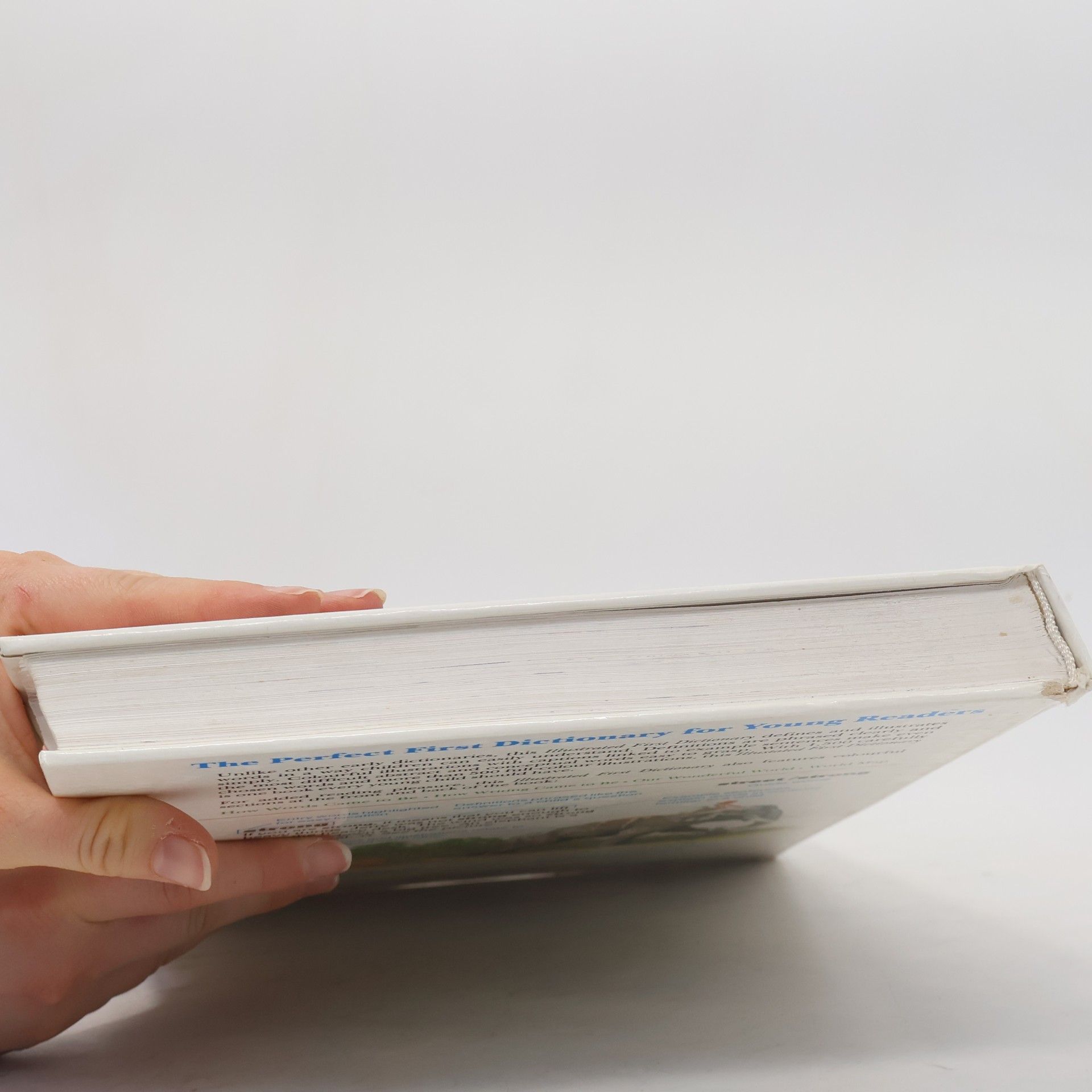 Collectif d'auteurs Illustrated First Dictionary