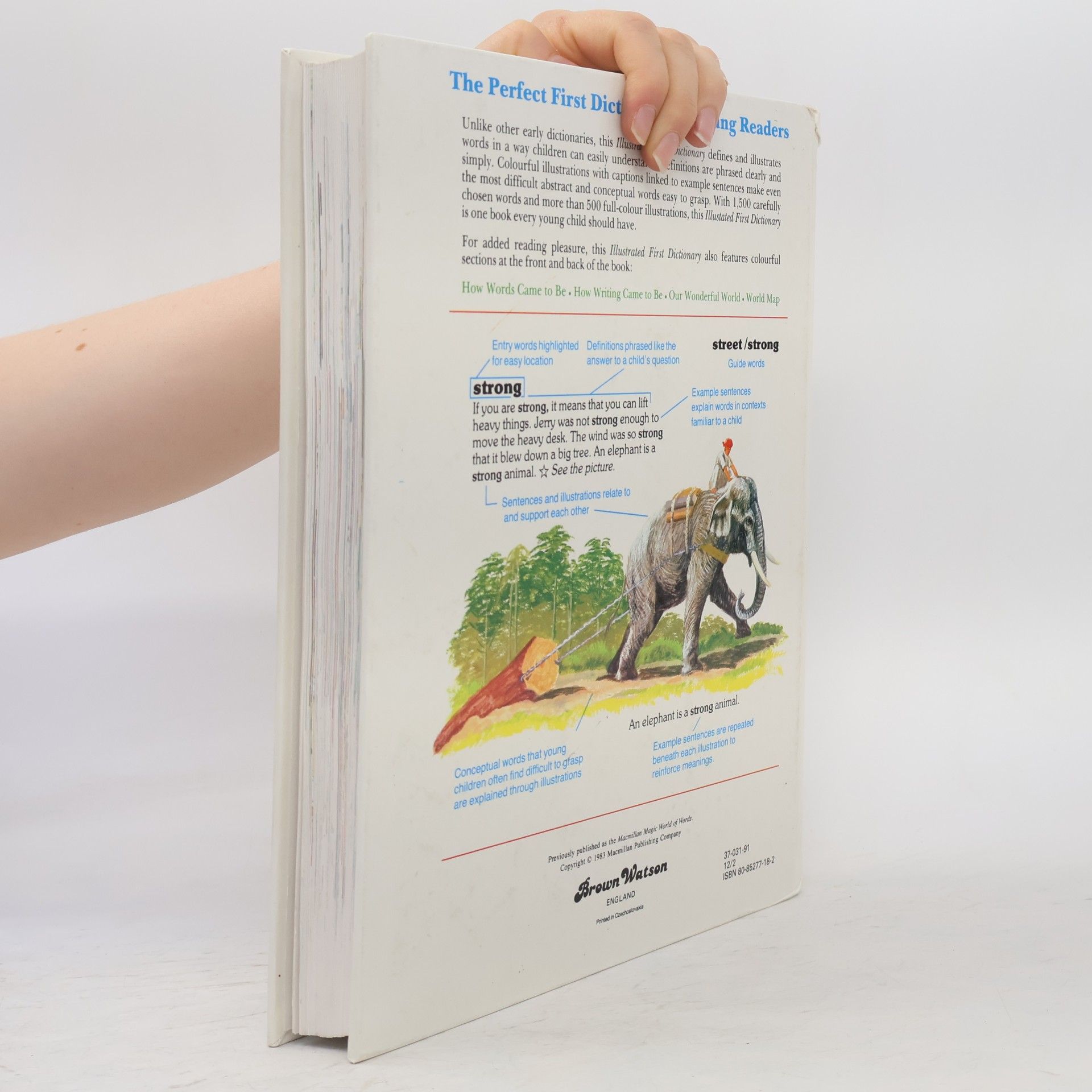 Collectif d'auteurs Illustrated First Dictionary