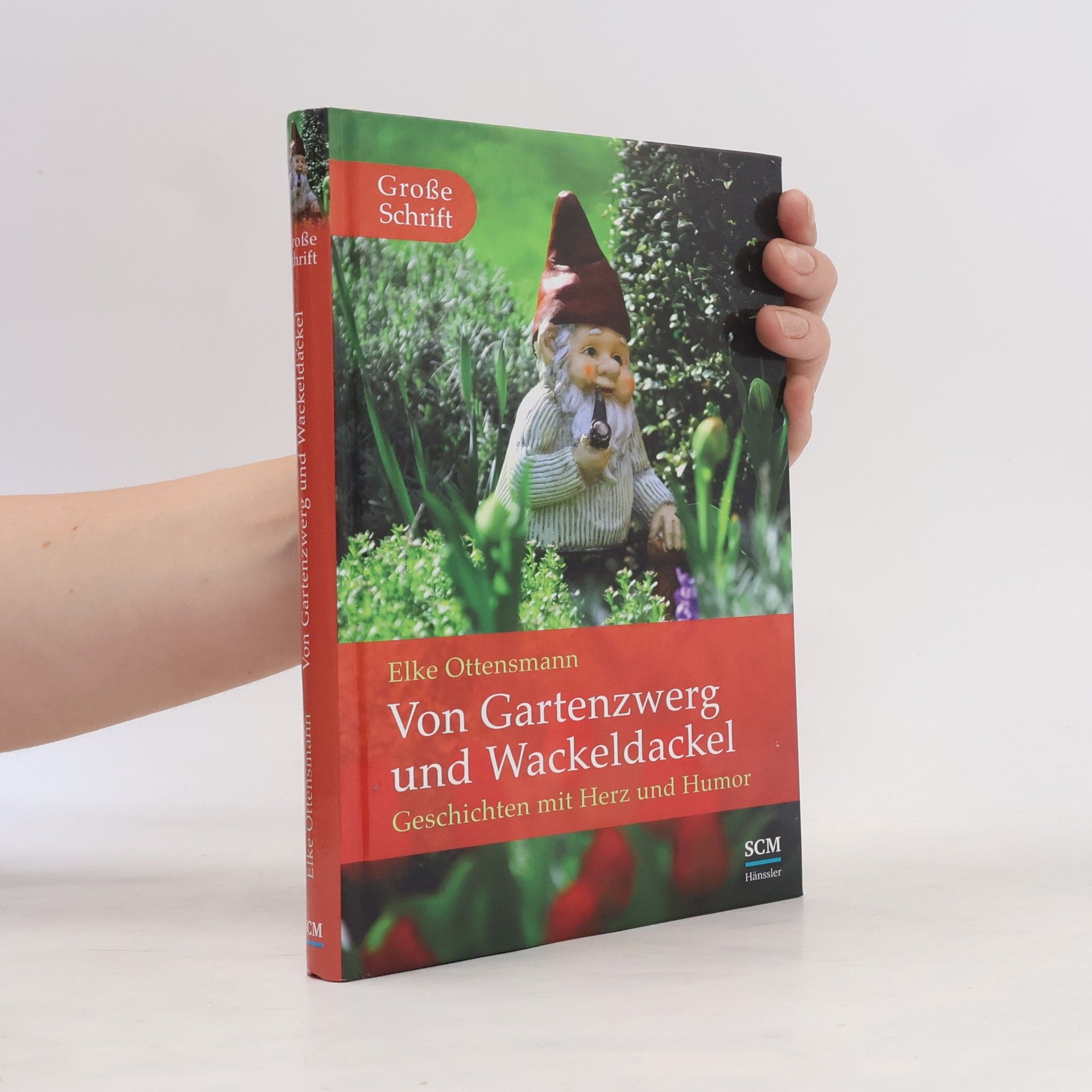 Elke Ottensmann Vom Gartenzwerg und Wackeldackel - Große Schrift