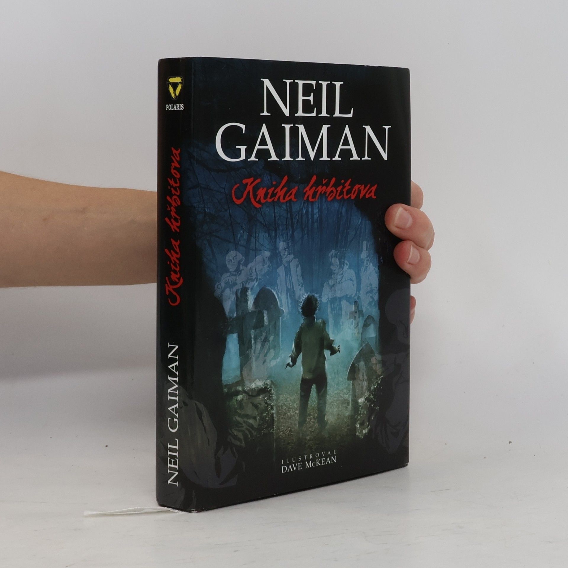 Neil Gaiman Kniha hřbitova